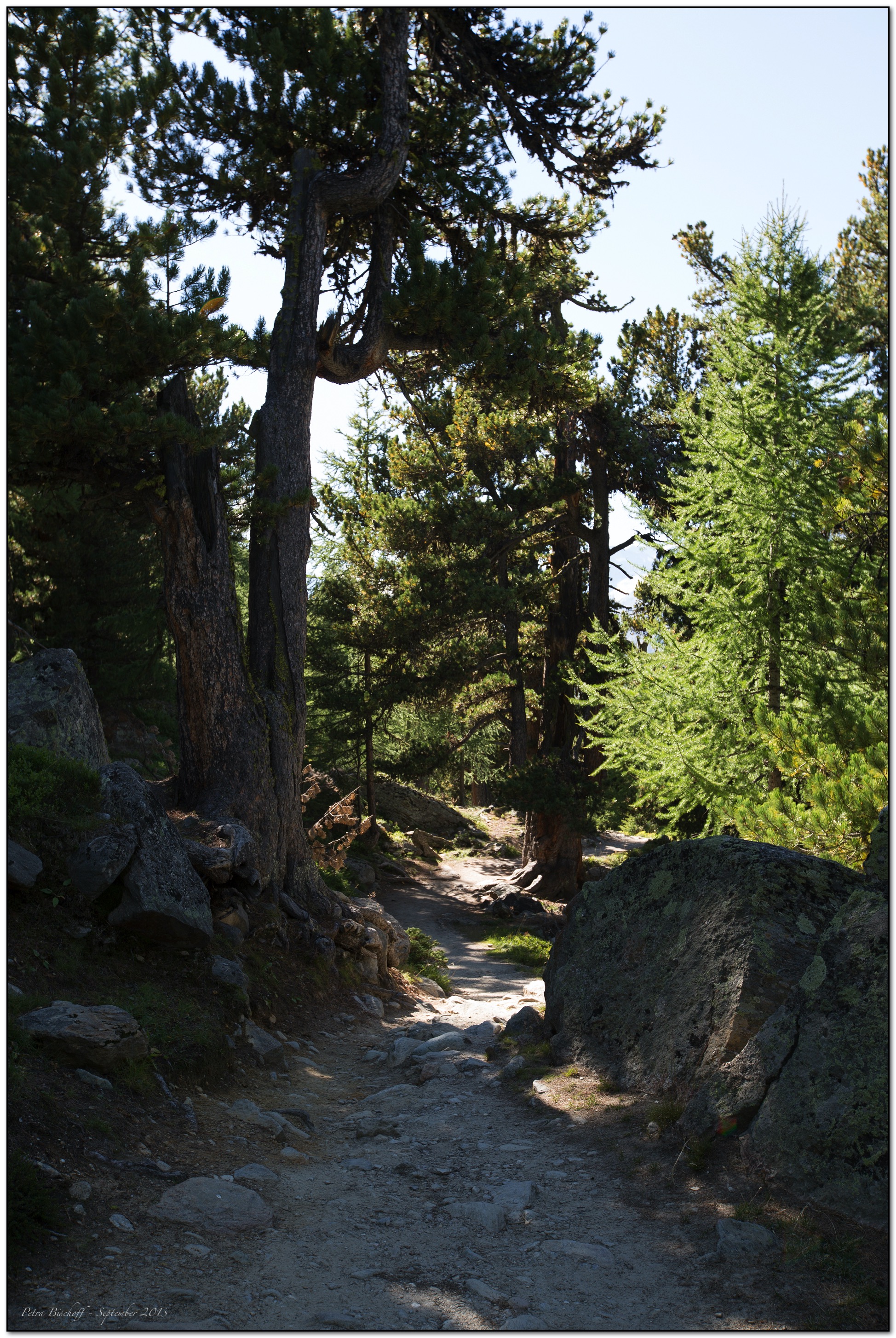 &copy; Petra Bischoff