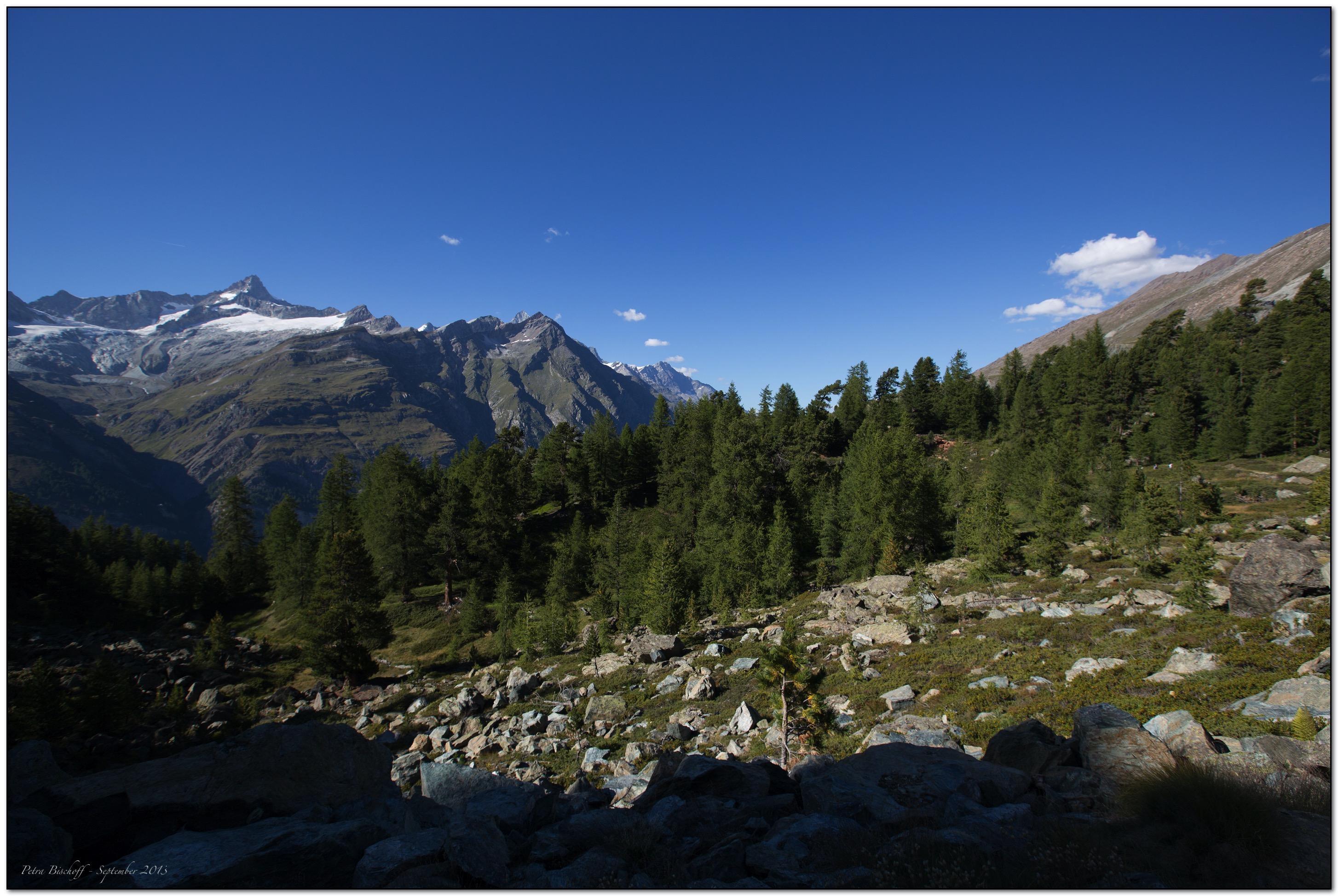 &copy; Petra Bischoff