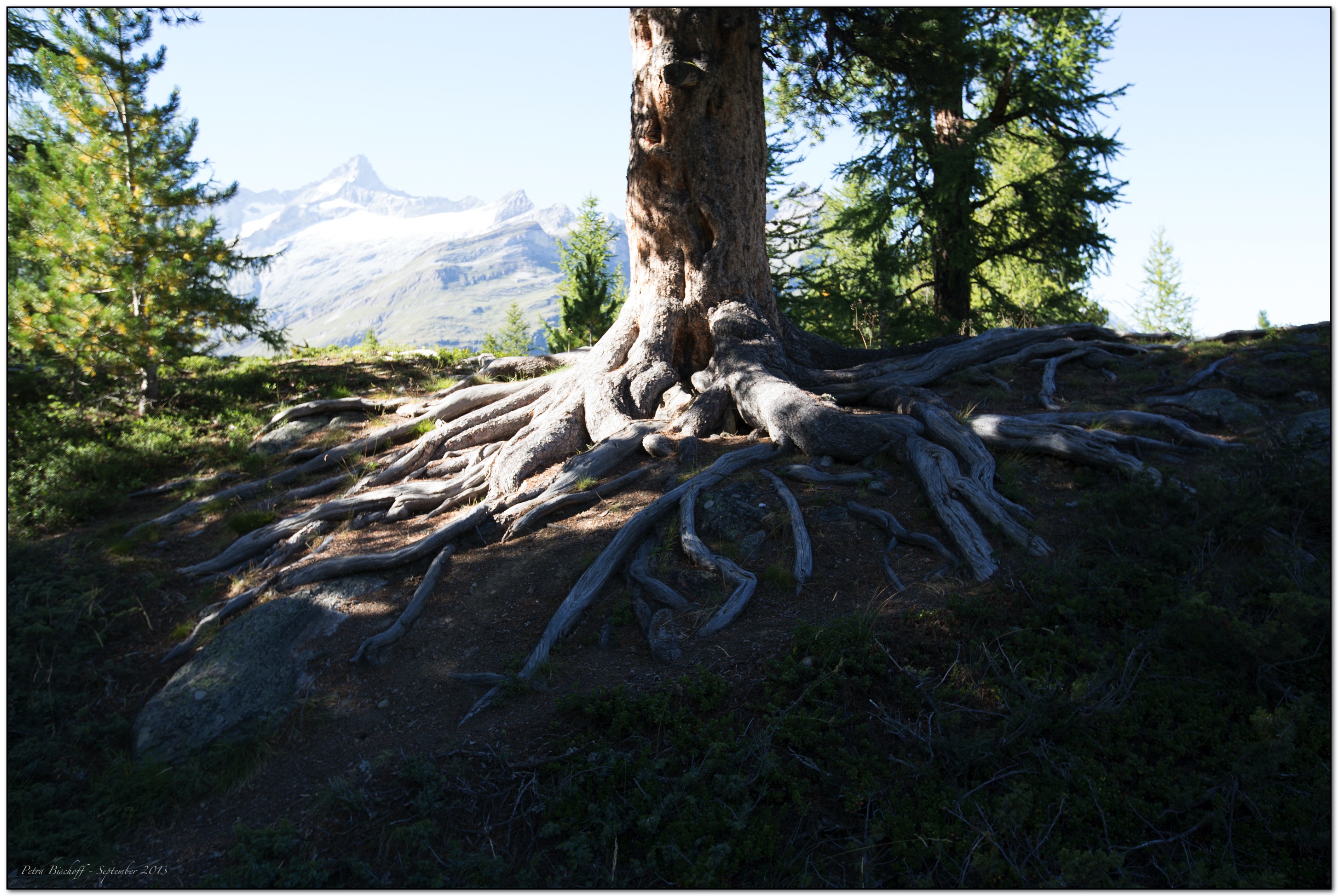 &copy; Petra Bischoff