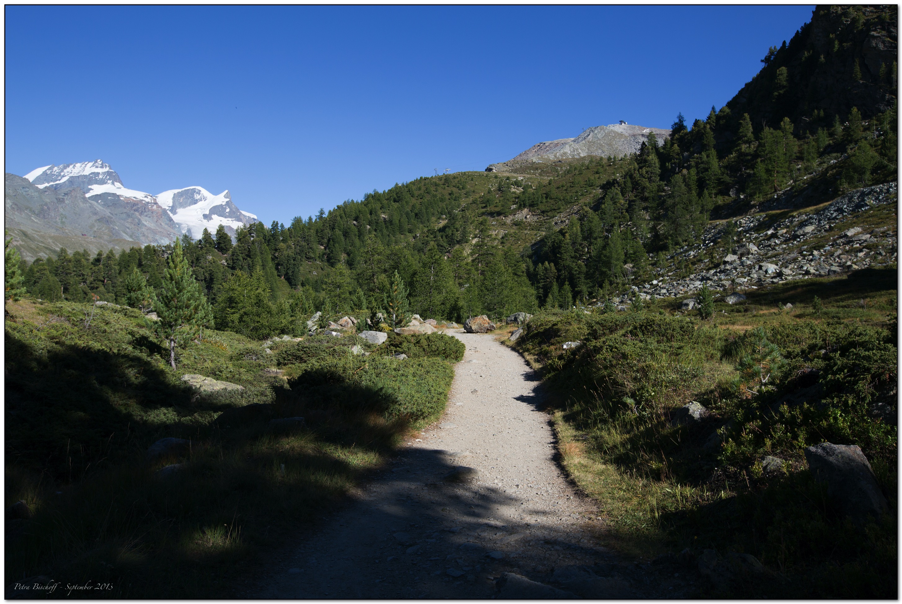 &copy; Petra Bischoff