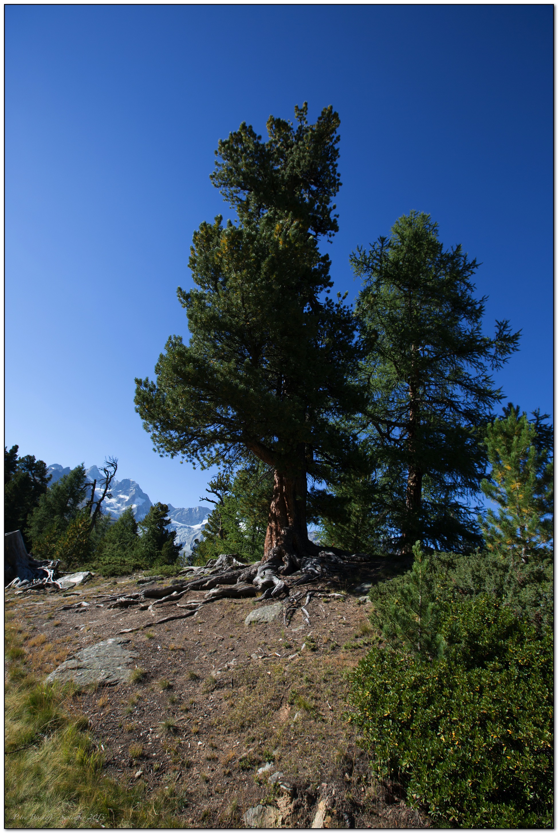 &copy; Petra Bischoff