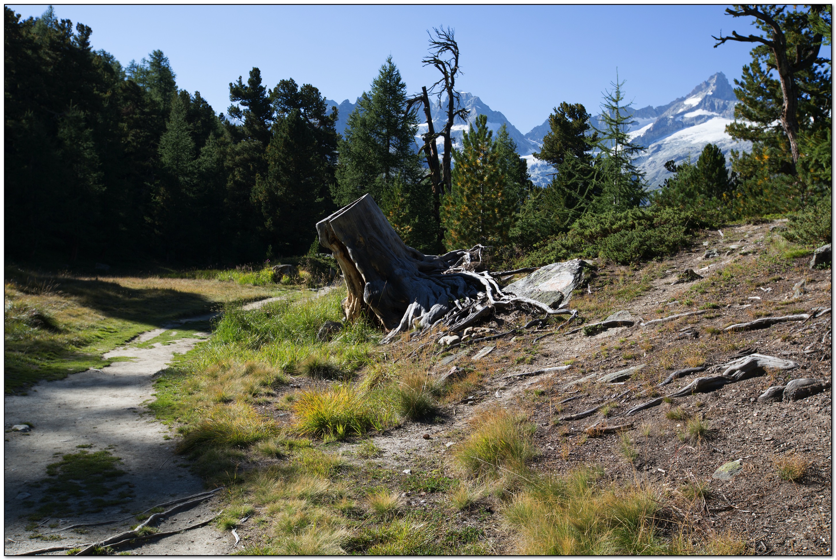 &copy; Petra Bischoff