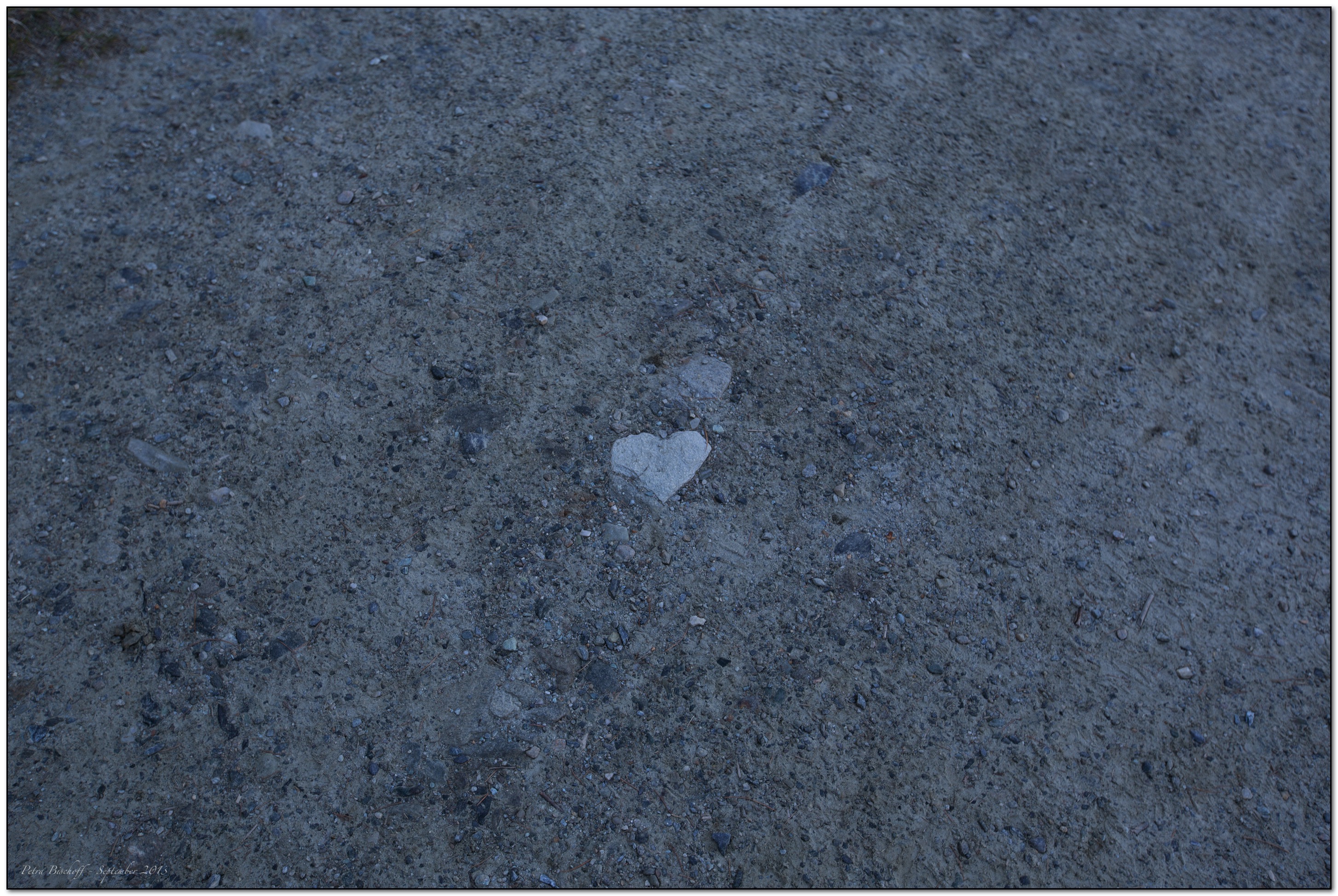 &copy; Petra Bischoff