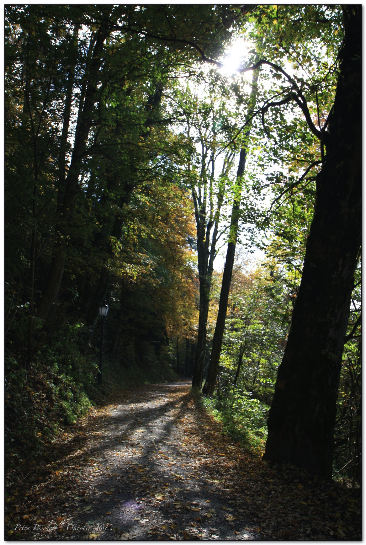 &copy; Petra Bischoff