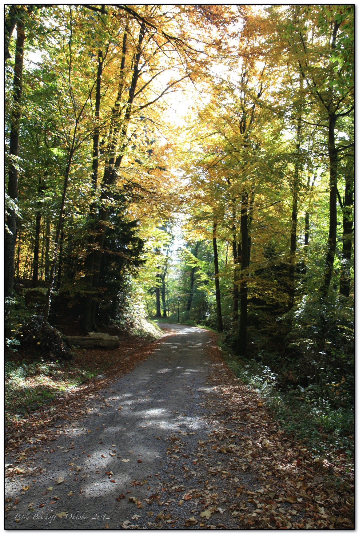 &copy; Petra Bischoff