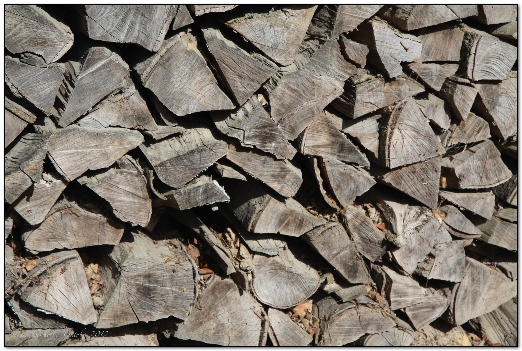 &copy; Petra Bischoff