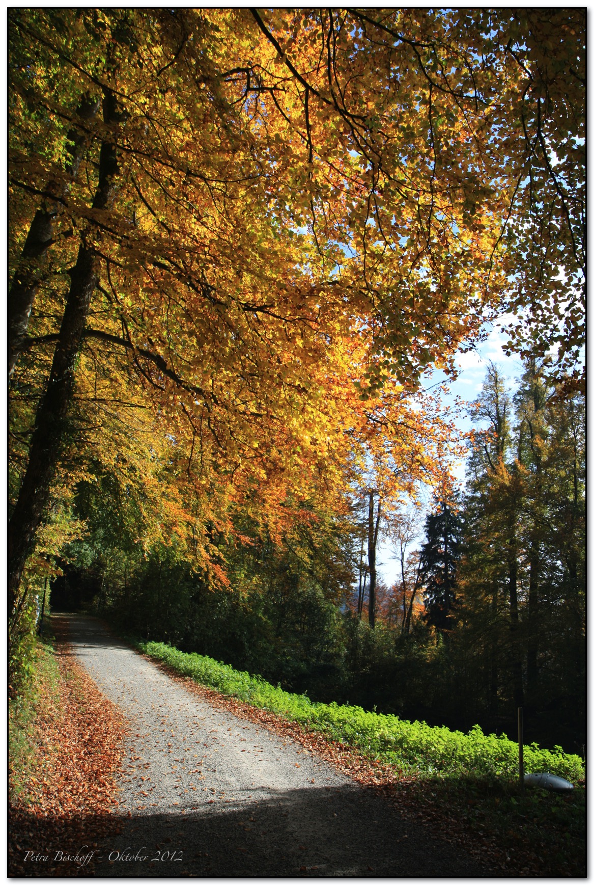 &copy; Petra Bischoff