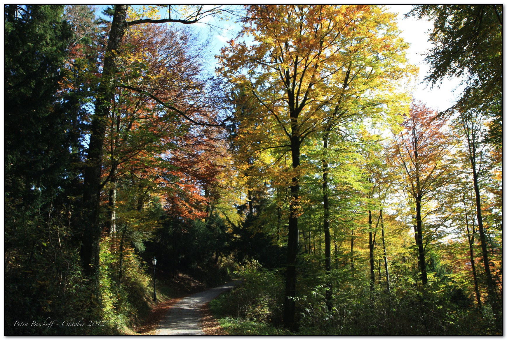 &copy; Petra Bischoff