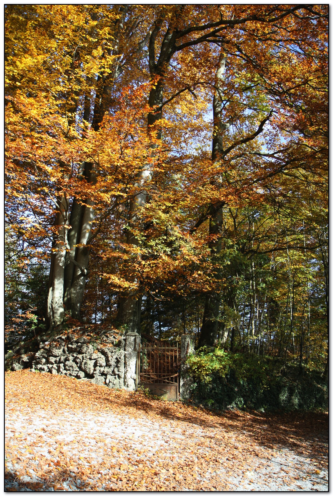 &copy; Petra Bischoff