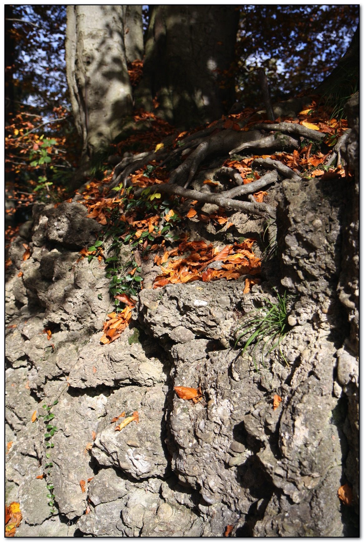 &copy; Petra Bischoff