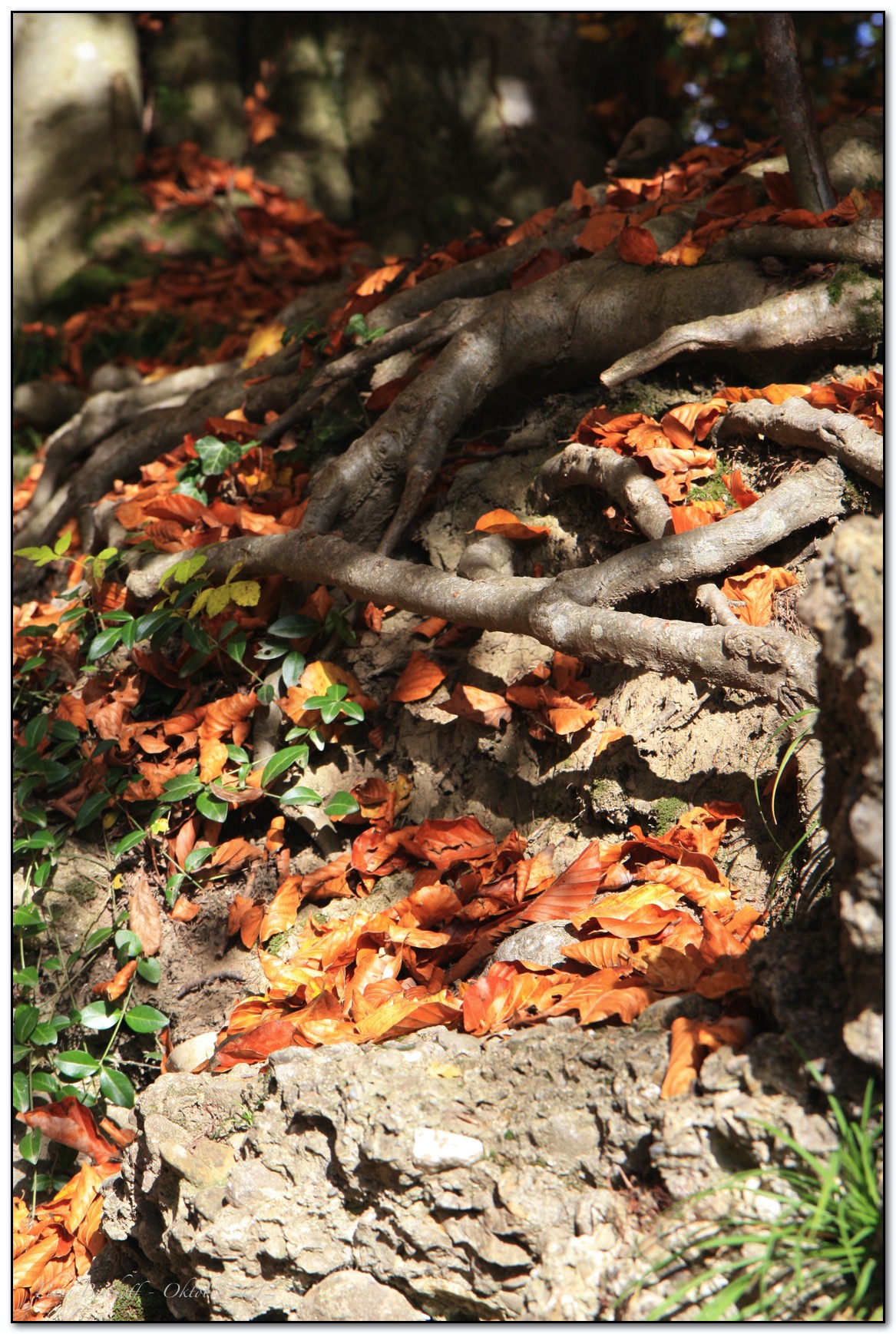 &copy; Petra Bischoff