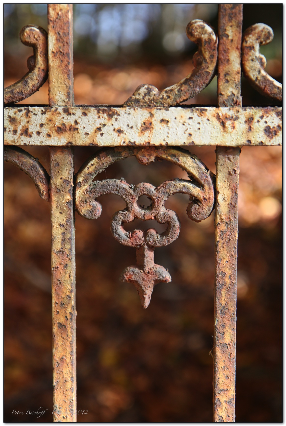 &copy; Petra Bischoff