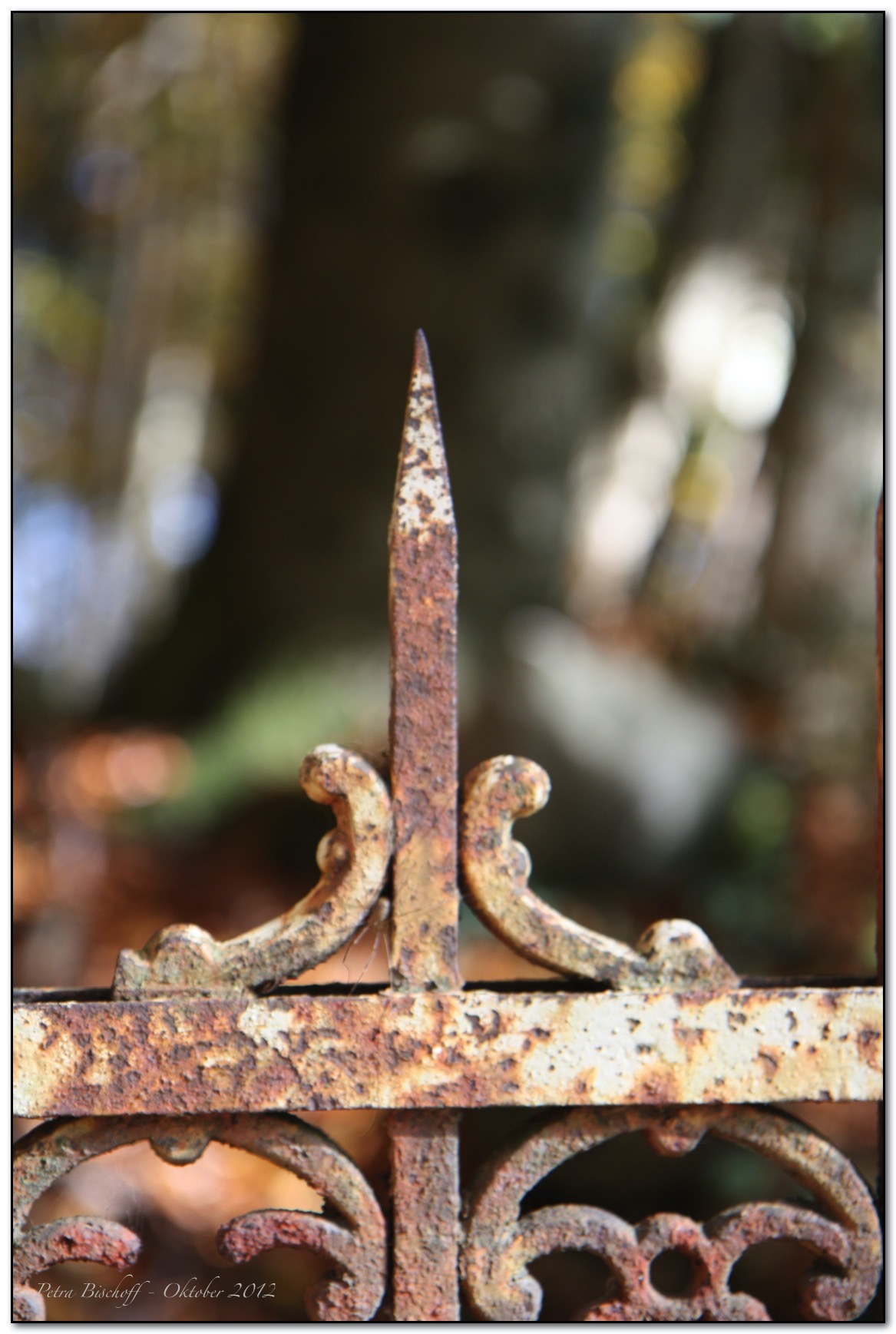 &copy; Petra Bischoff