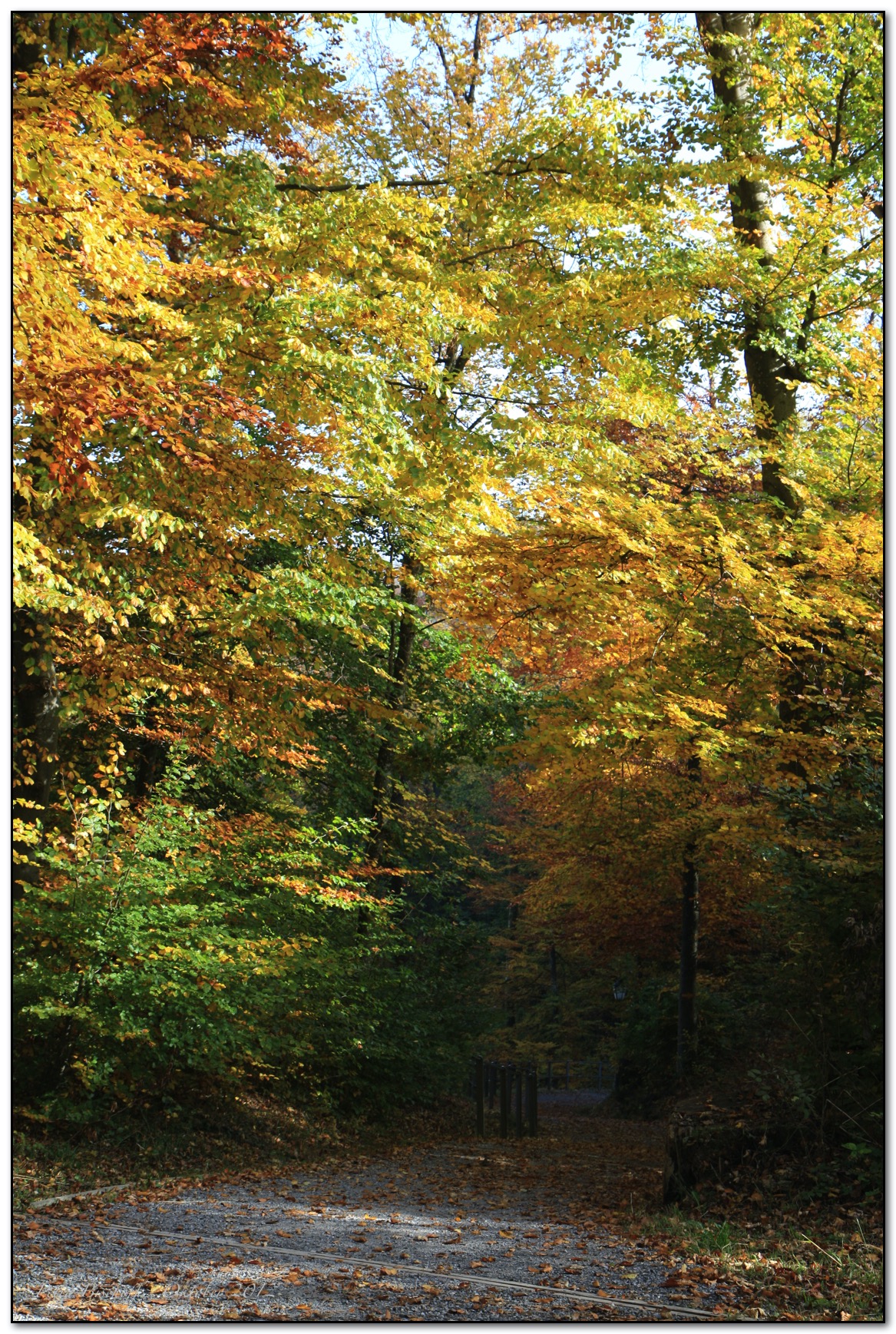 &copy; Petra Bischoff