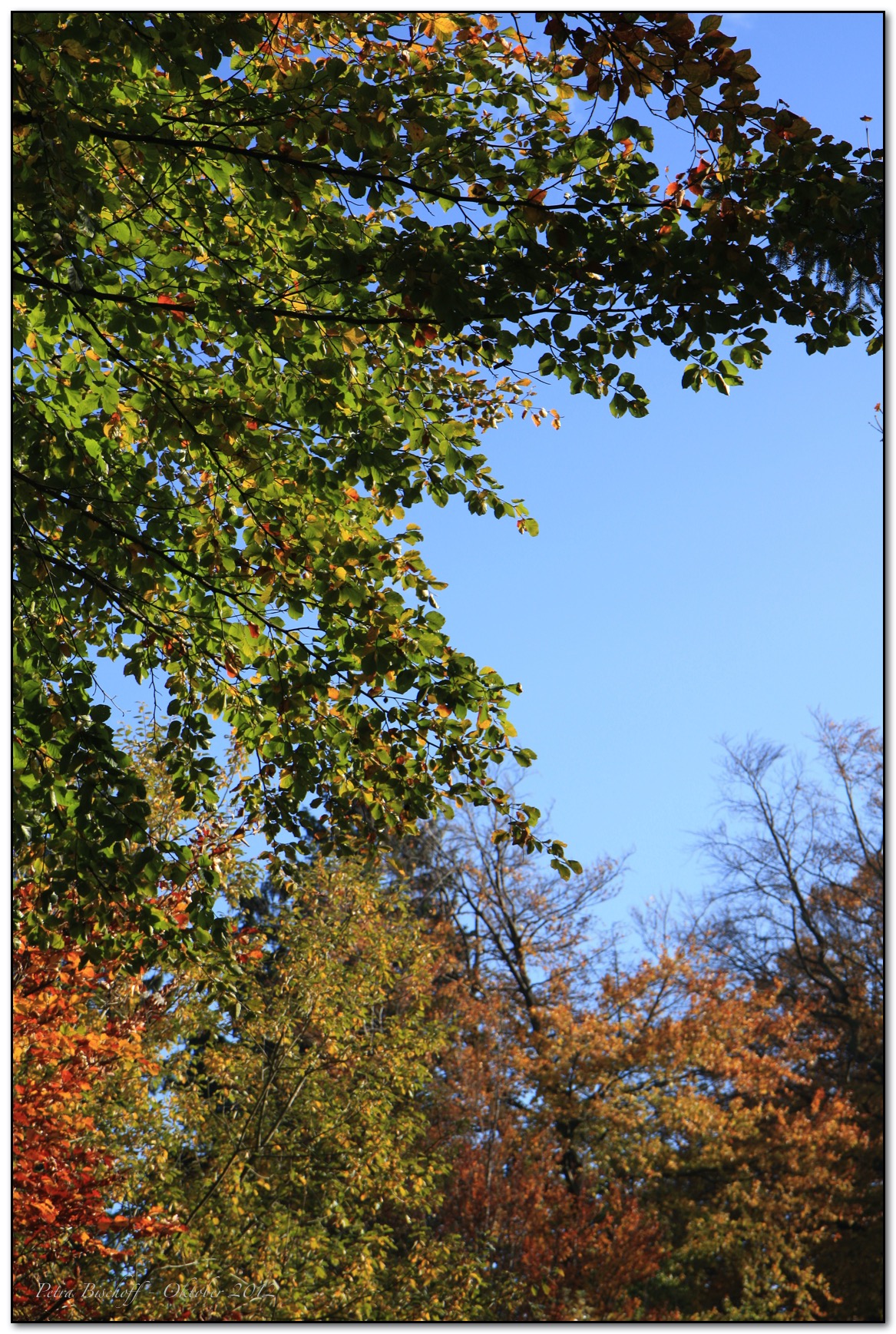 &copy; Petra Bischoff