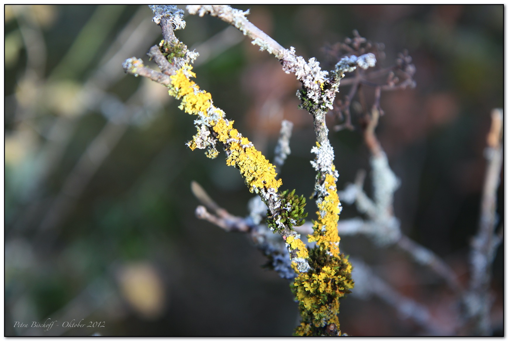 &copy; Petra Bischoff