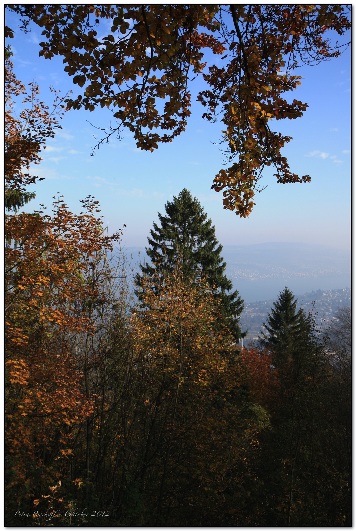 &copy; Petra Bischoff