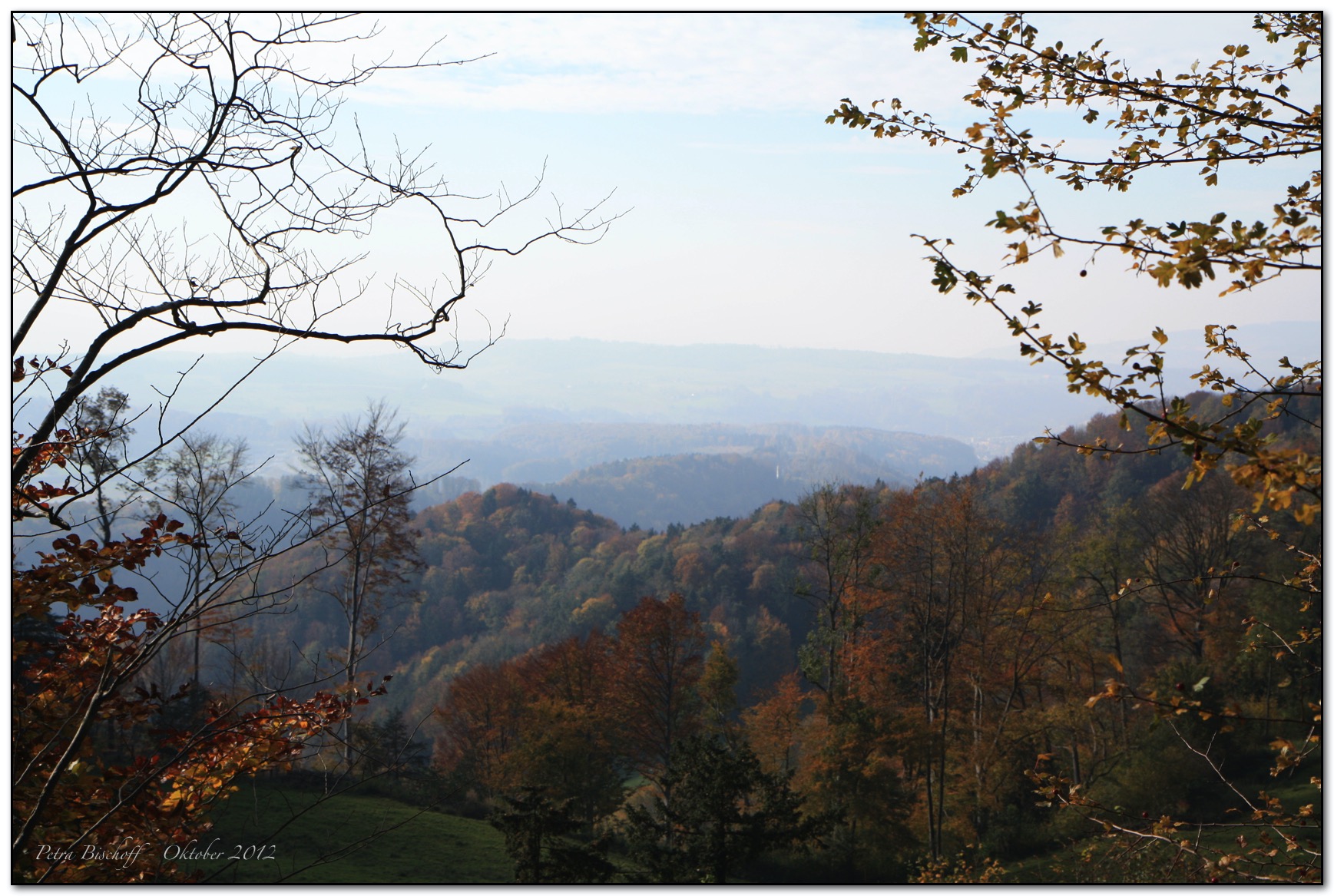 &copy; Petra Bischoff