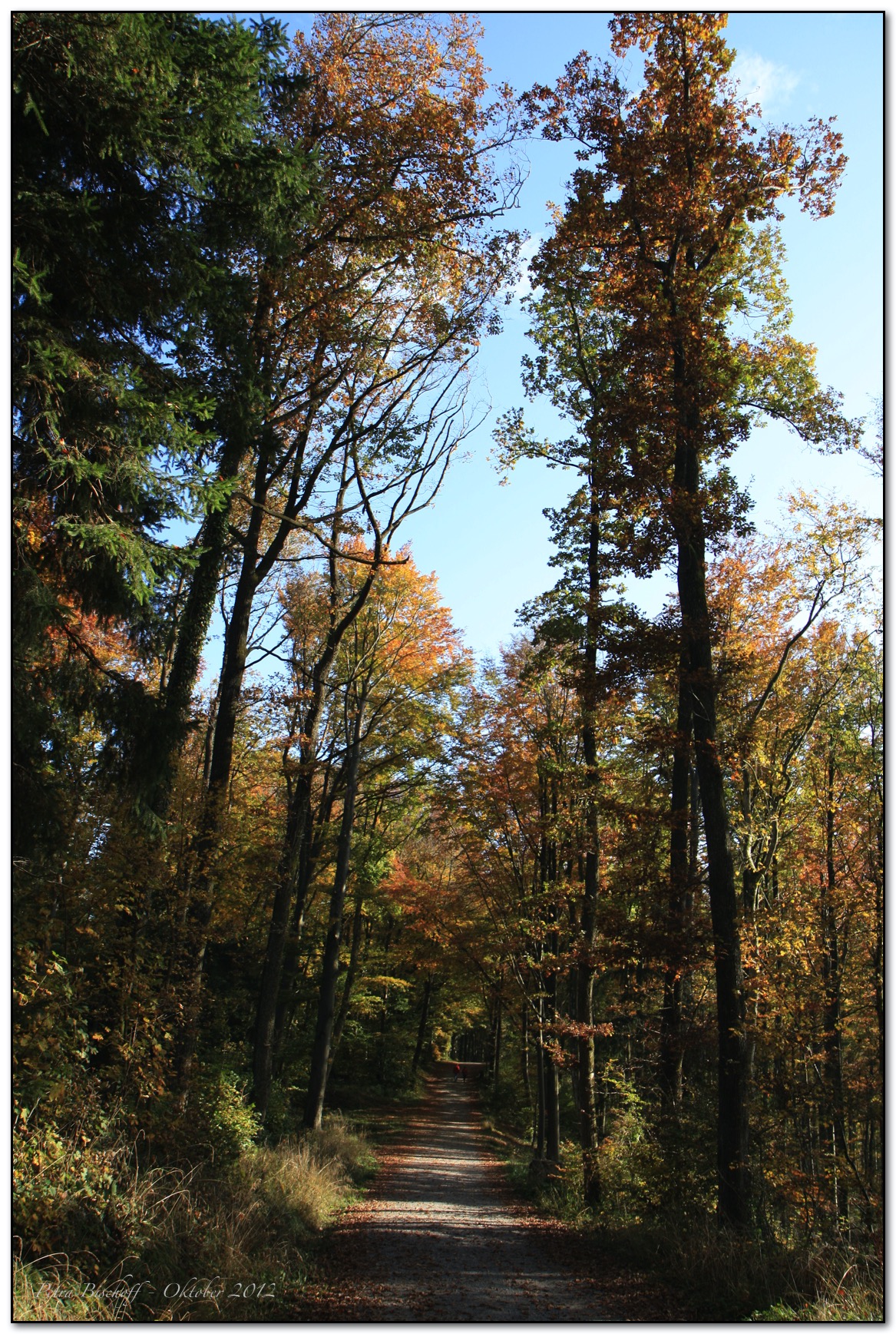 &copy; Petra Bischoff