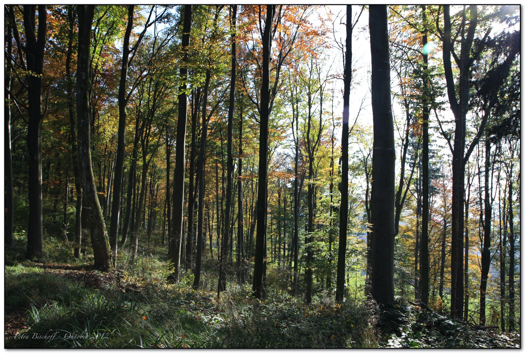 &copy; Petra Bischoff