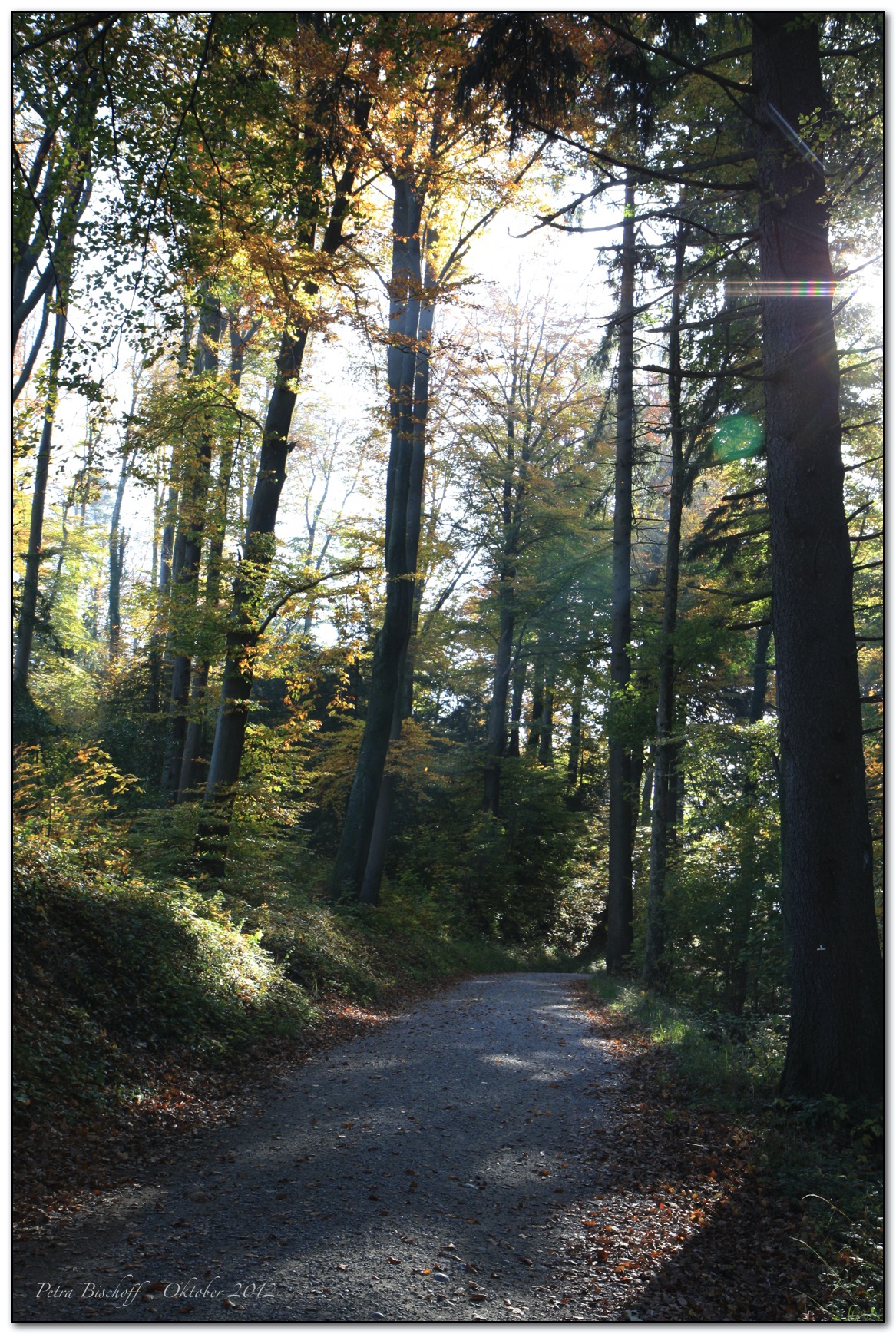 &copy; Petra Bischoff