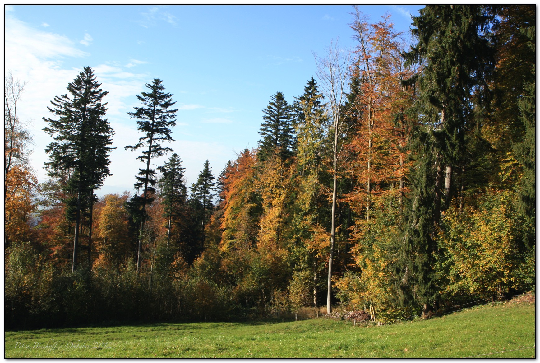 &copy; Petra Bischoff