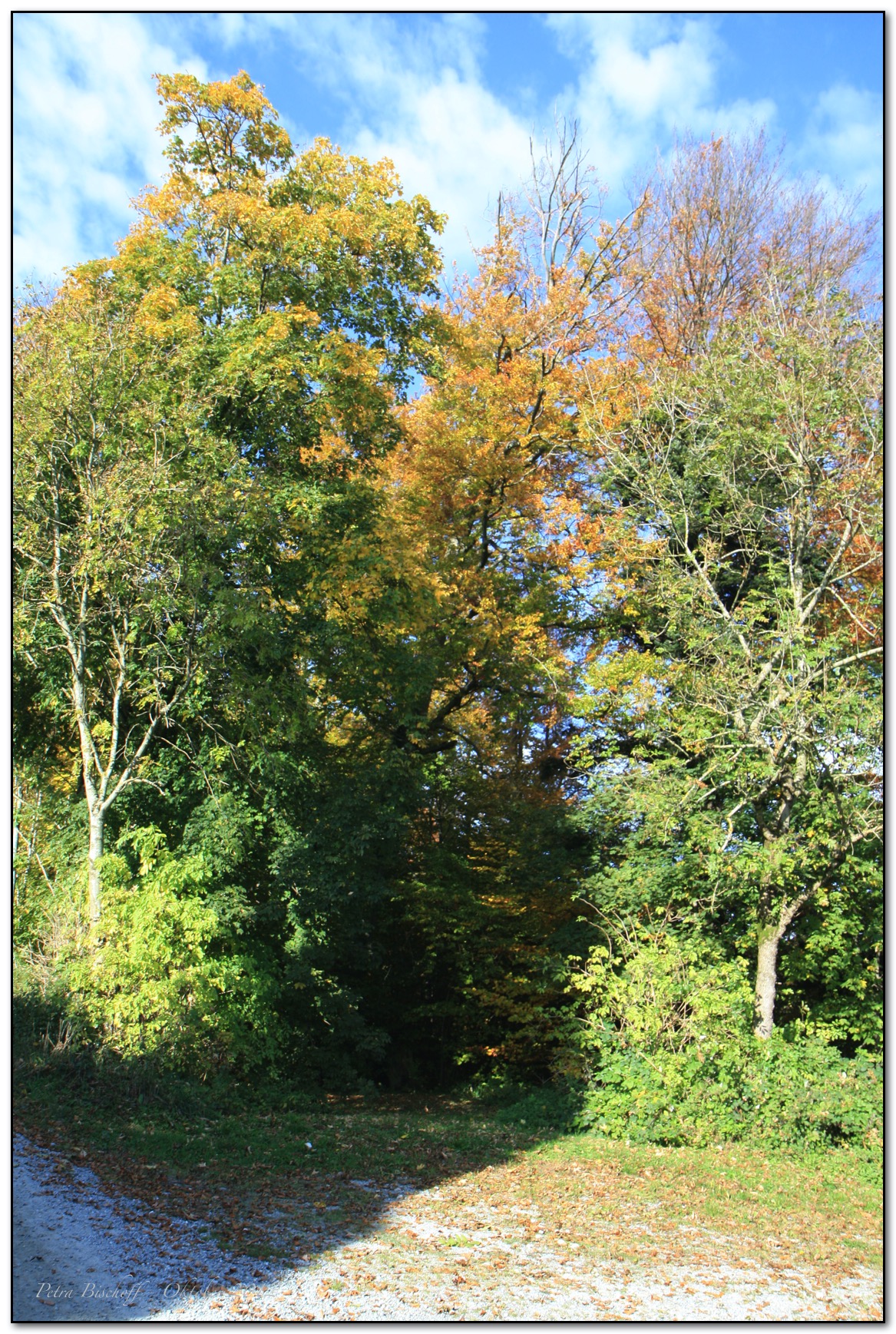 &copy; Petra Bischoff