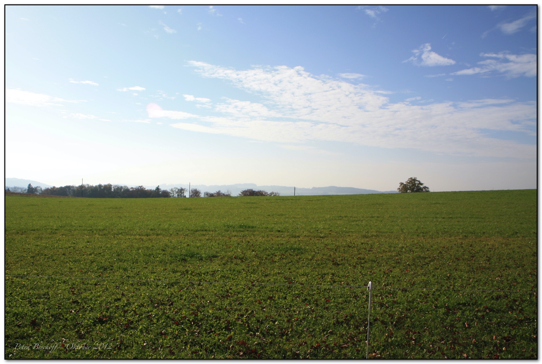 &copy; Petra Bischoff