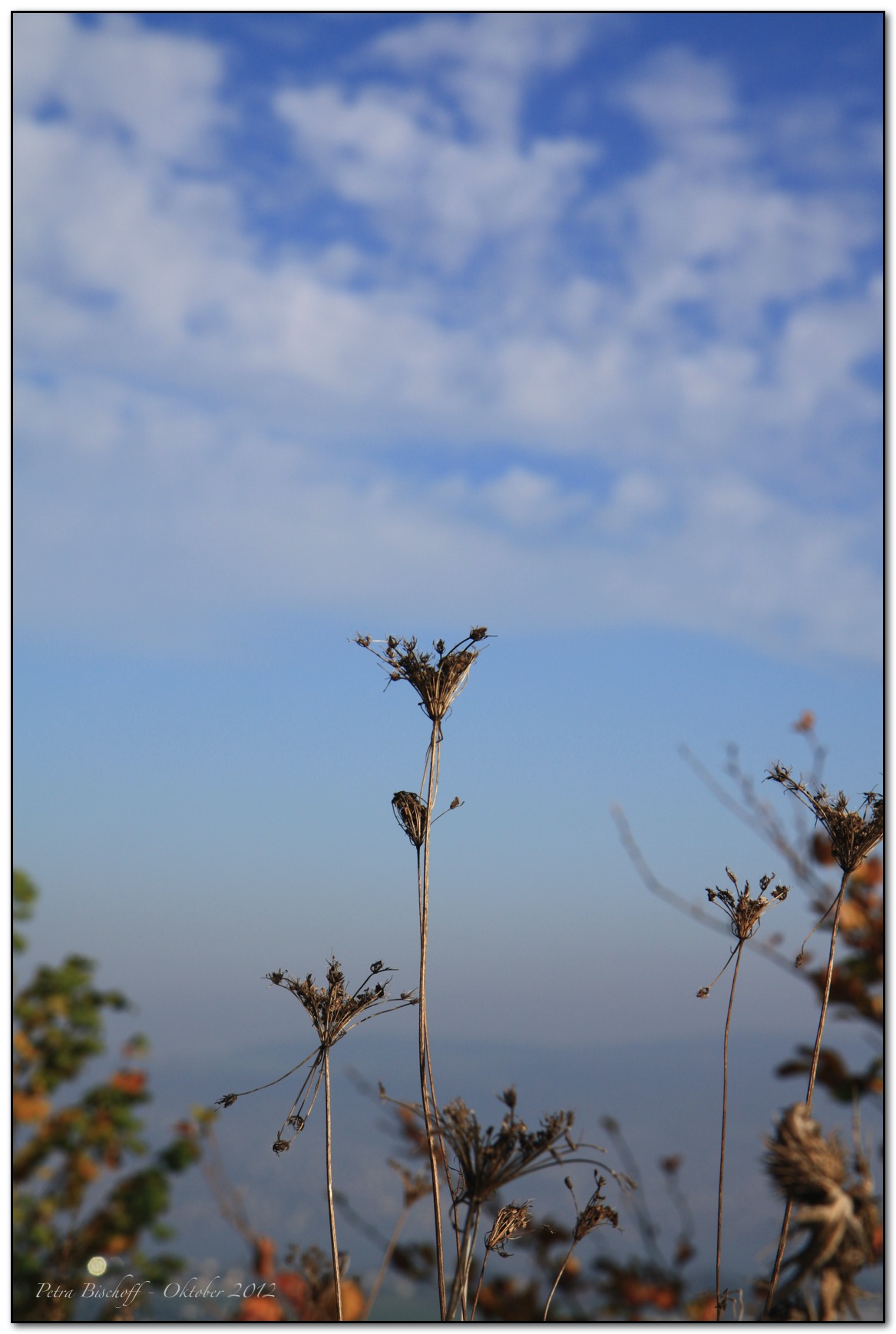 &copy; Petra Bischoff