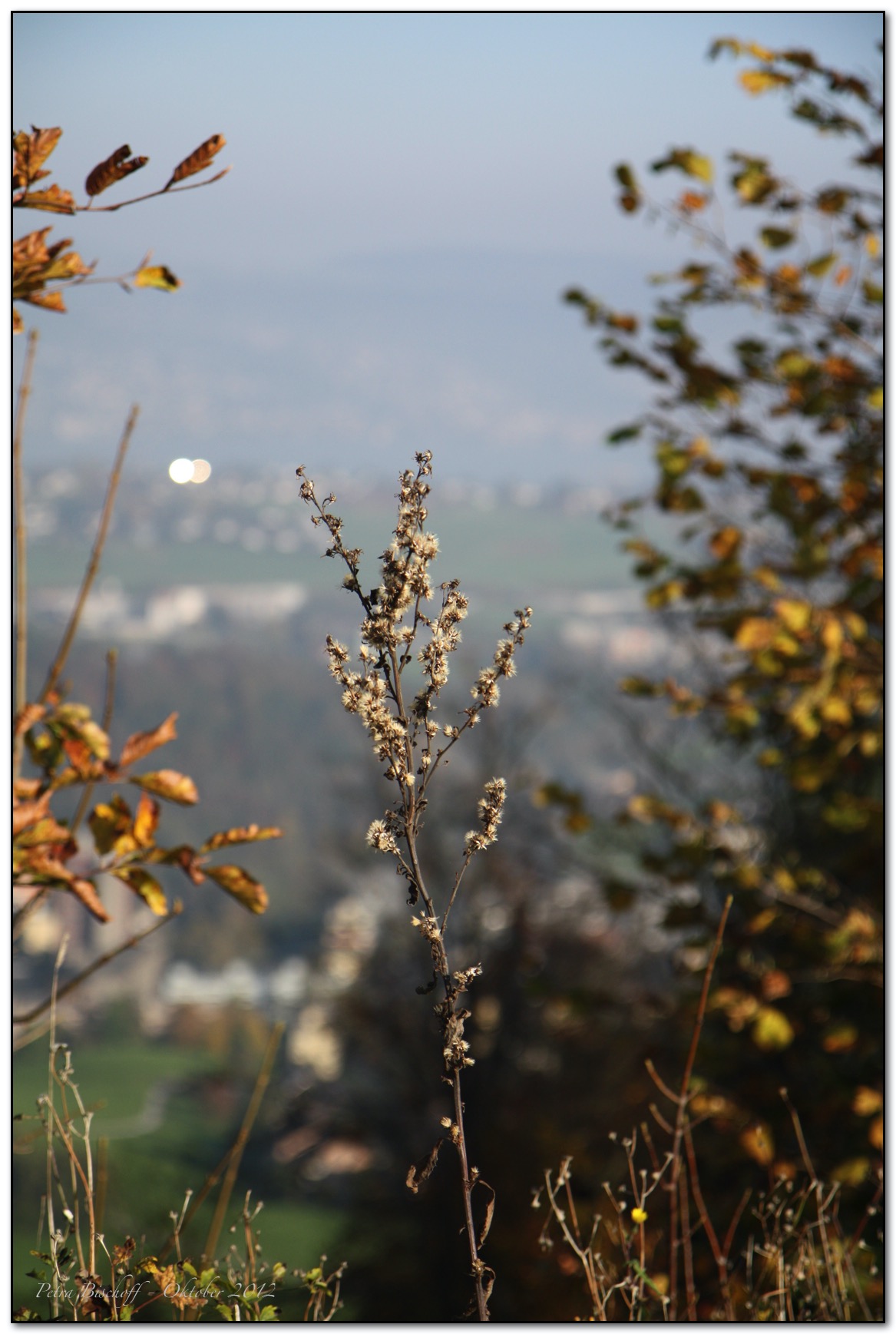 &copy; Petra Bischoff