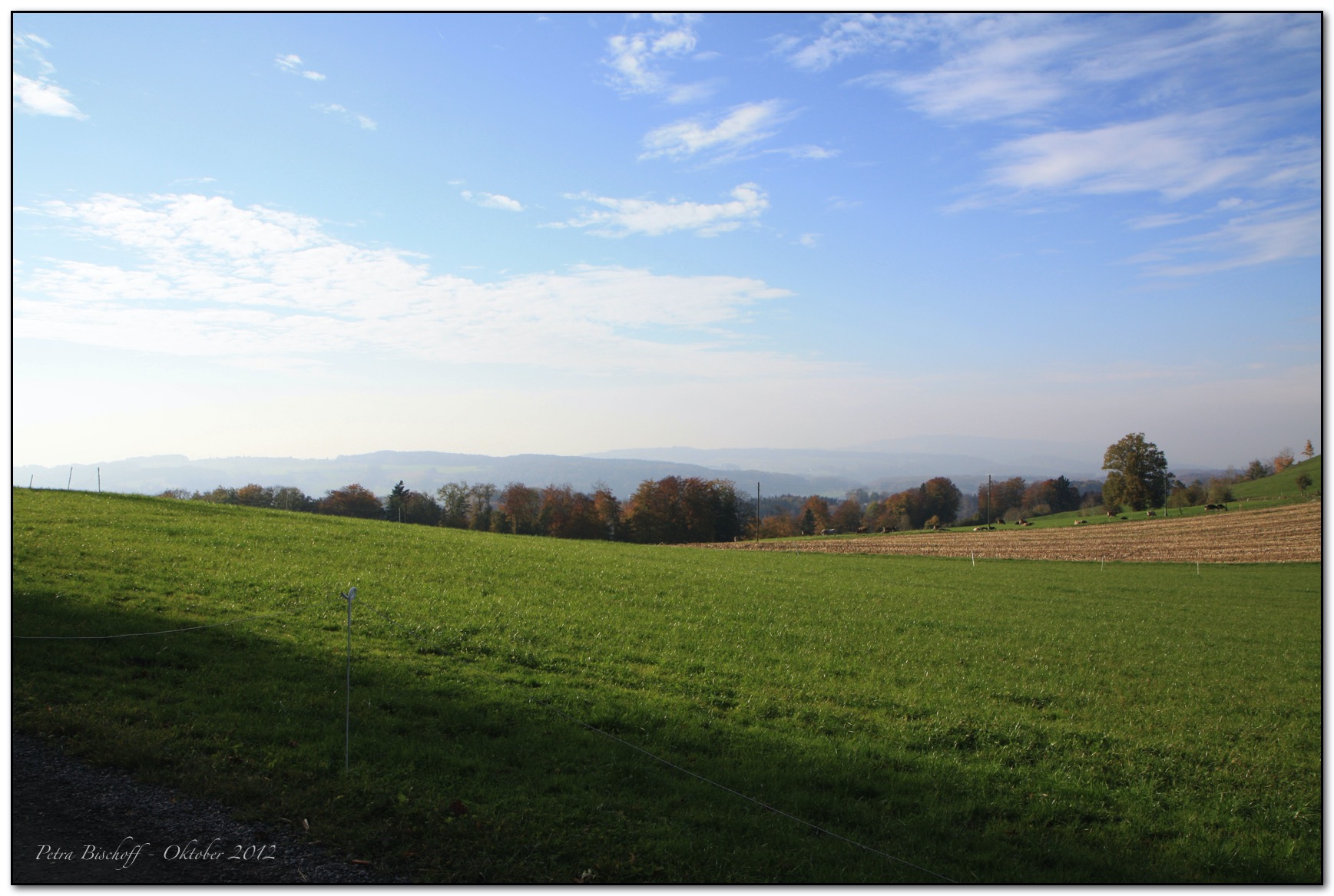 &copy; Petra Bischoff