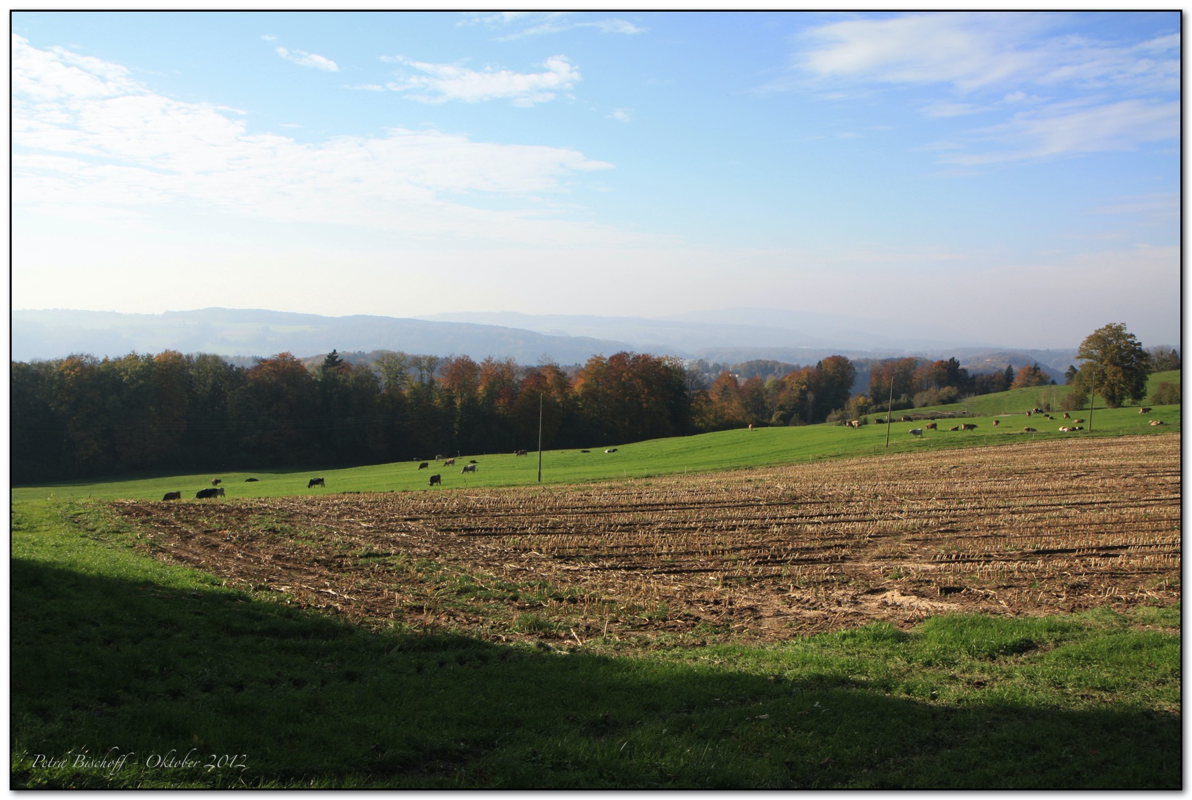 &copy; Petra Bischoff