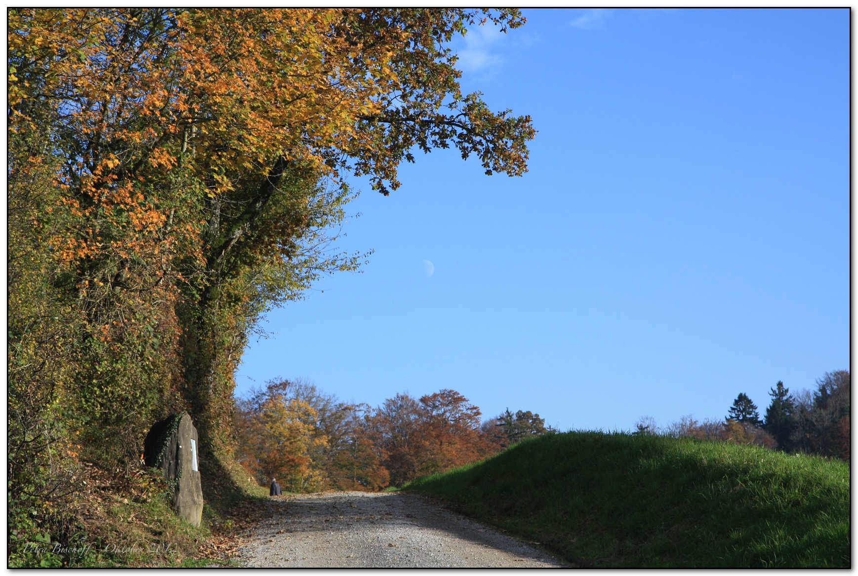 &copy; Petra Bischoff