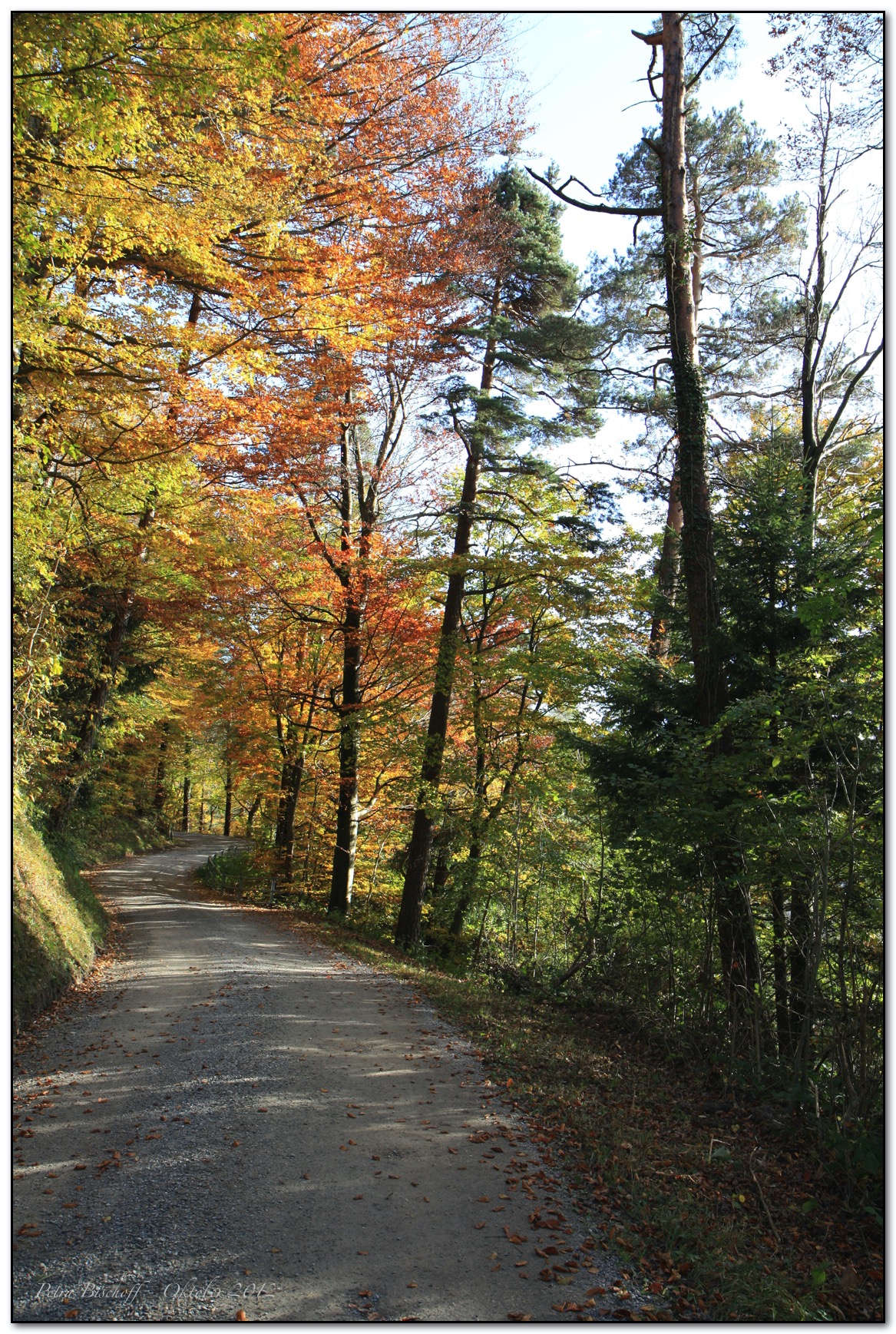 &copy; Petra Bischoff