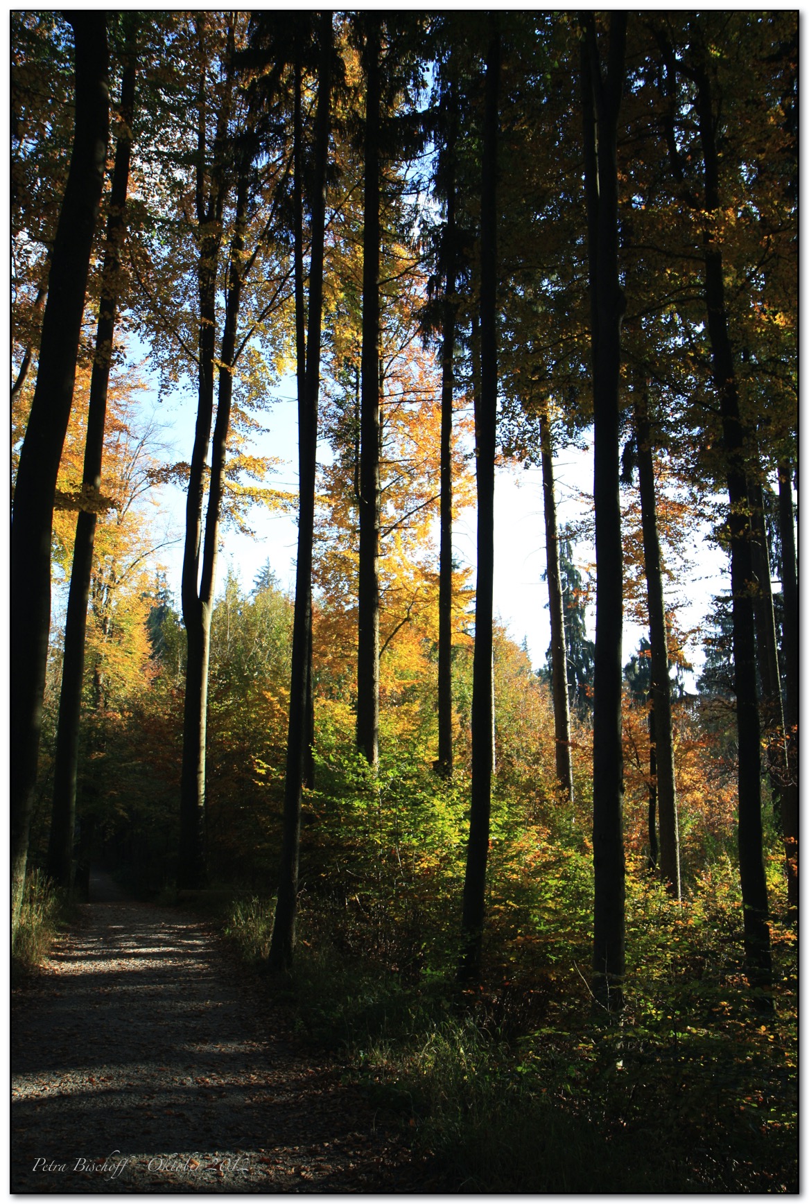 &copy; Petra Bischoff