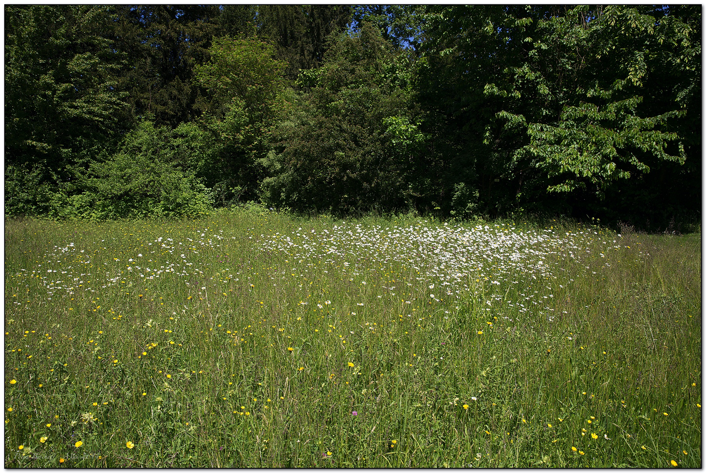 &copy; Petra Bischoff