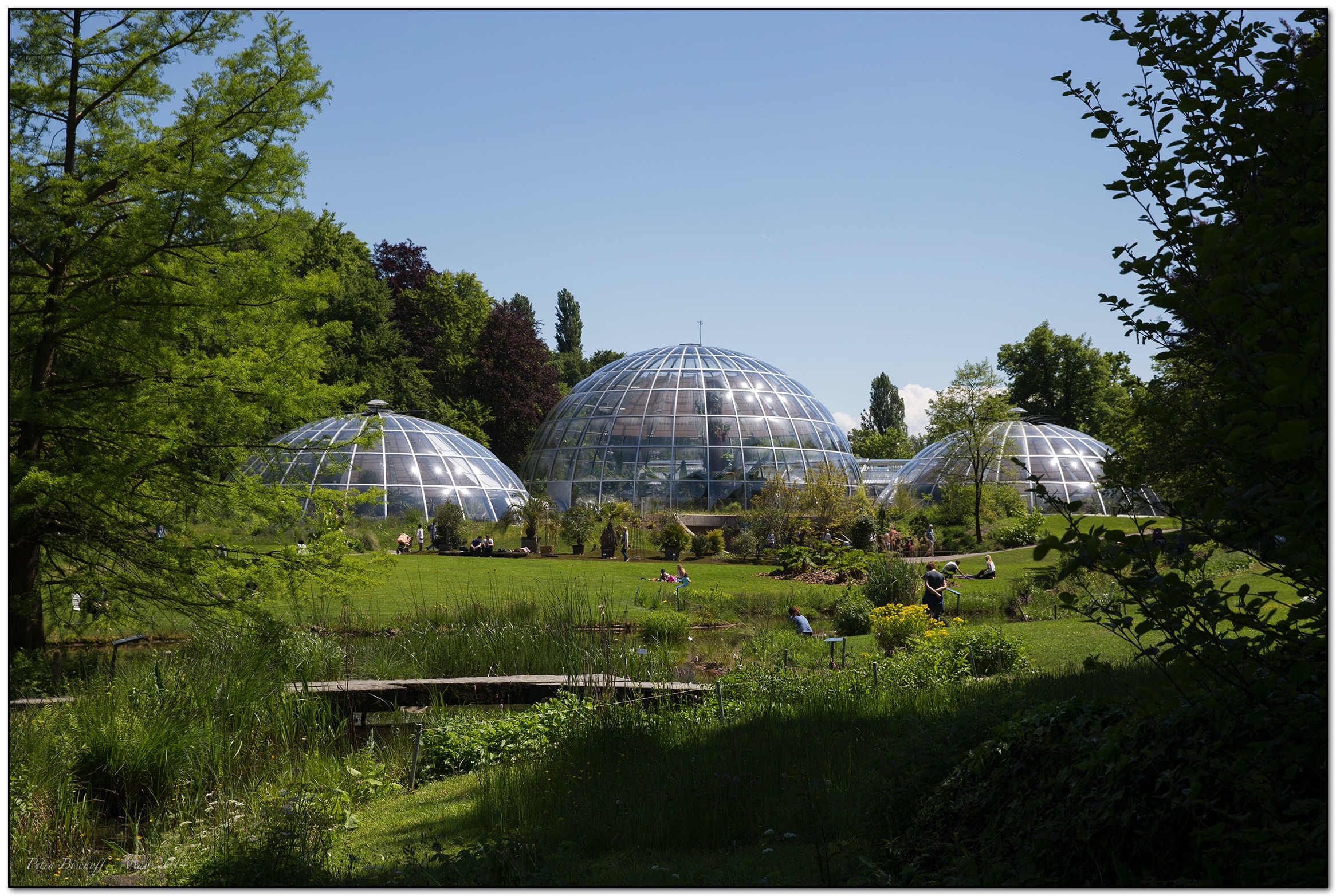 &copy; Petra Bischoff