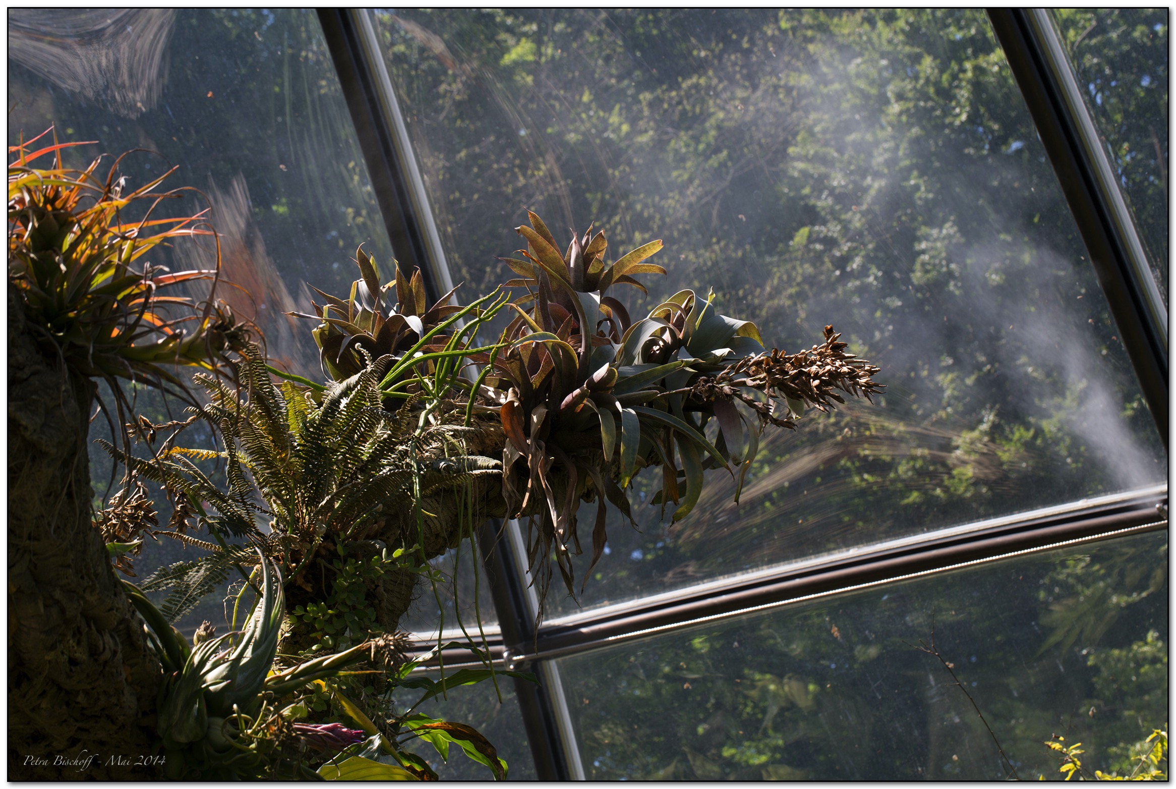 &copy; Petra Bischoff