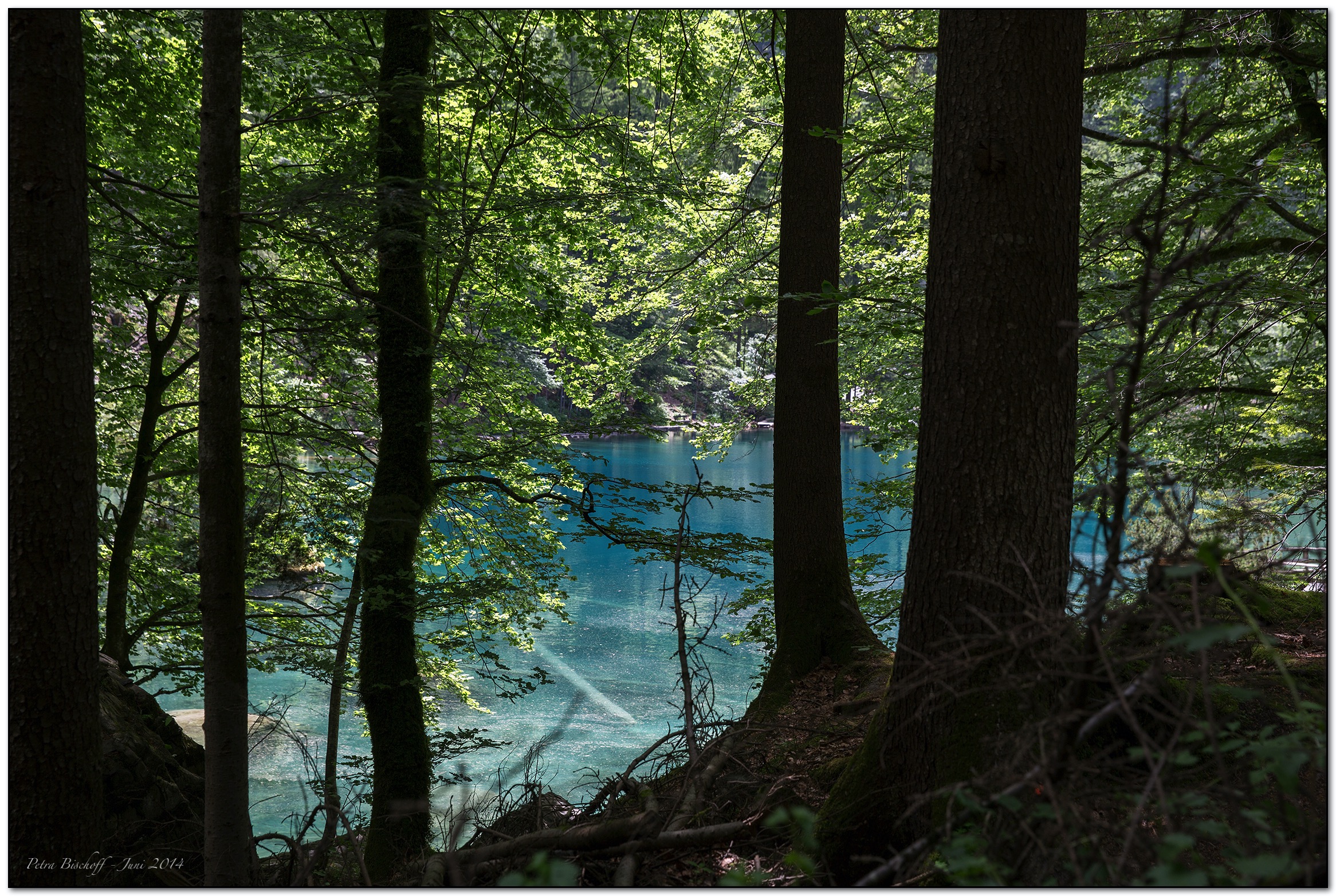 &copy; Petra Bischoff