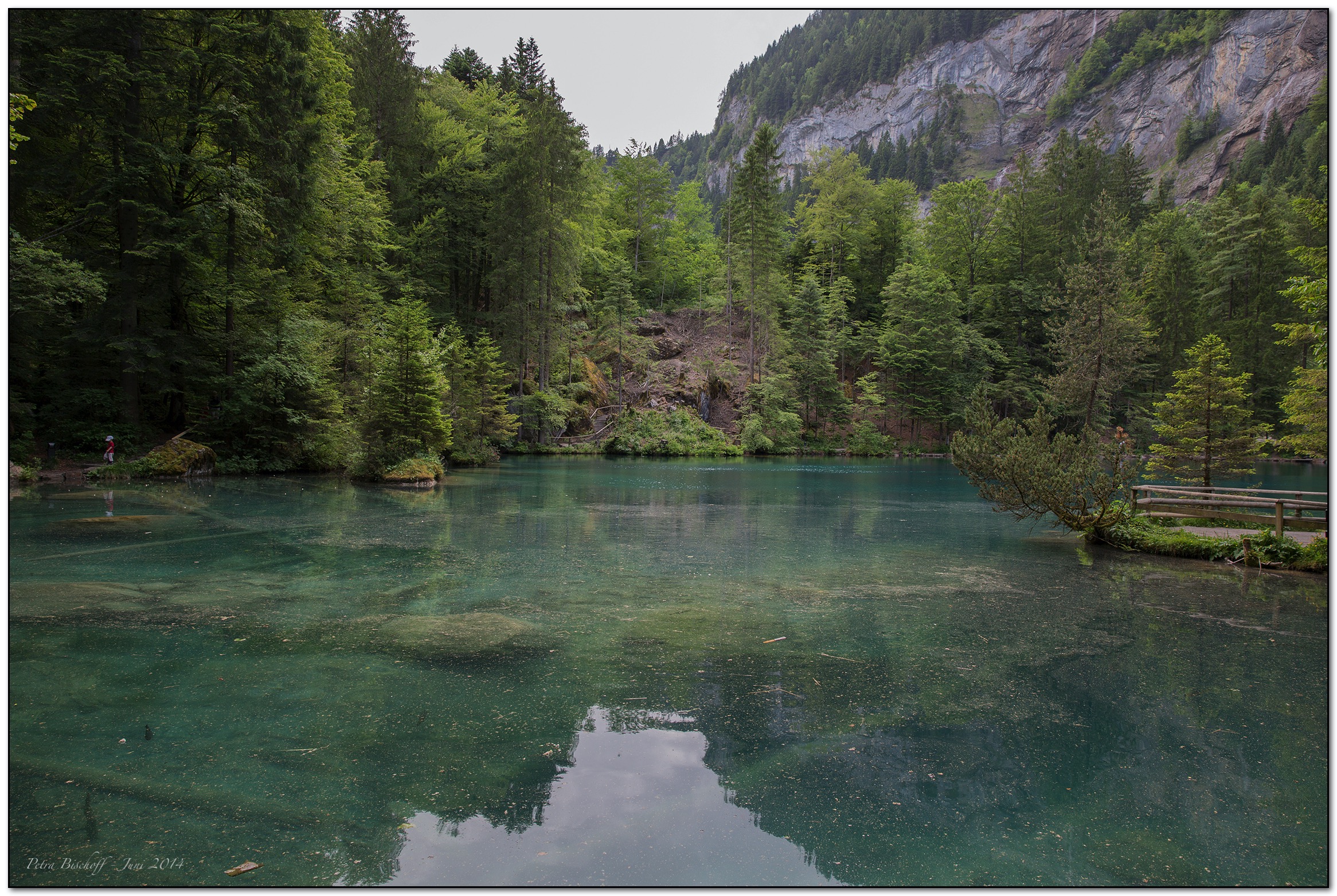 &copy; Petra Bischoff