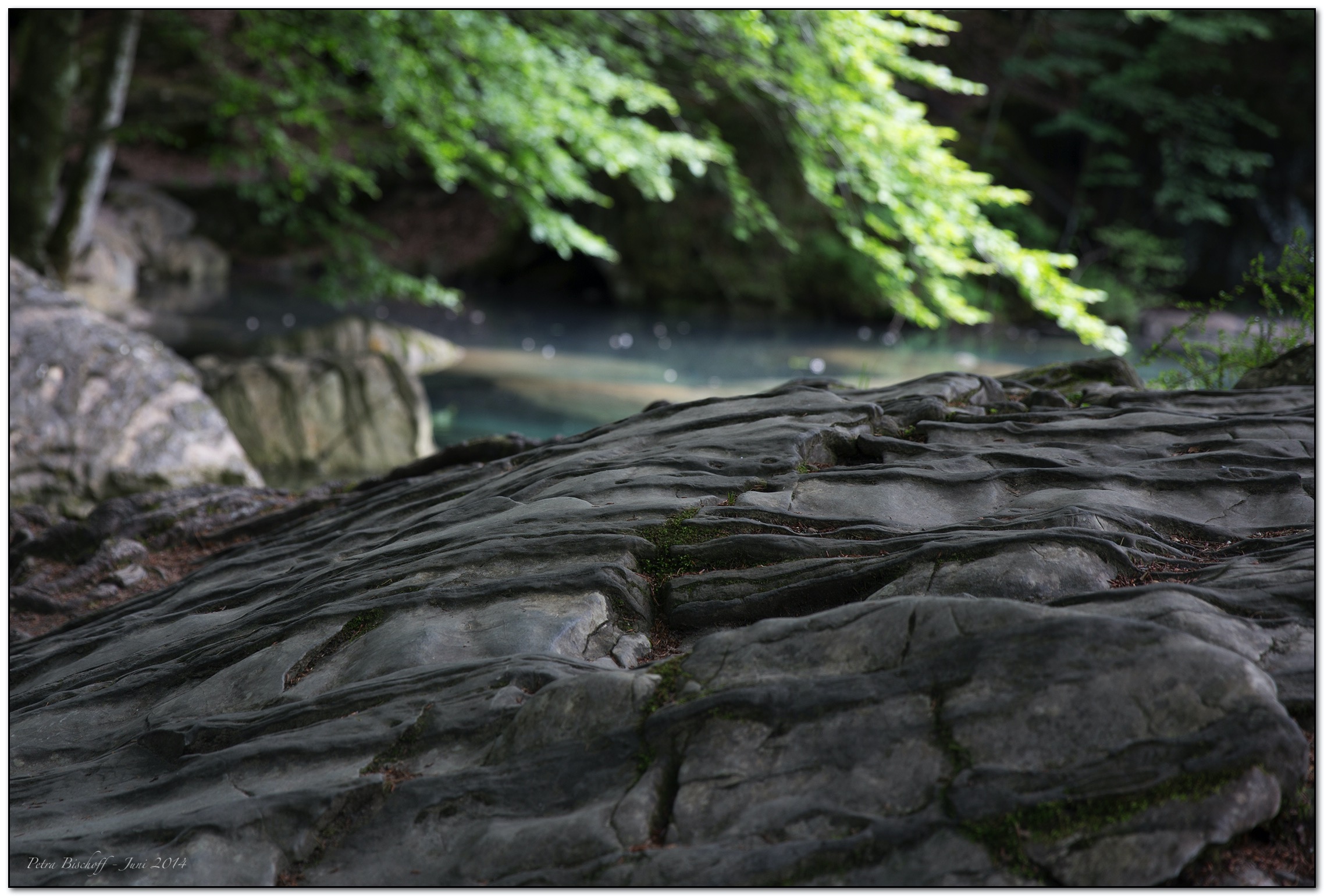 &copy; Petra Bischoff