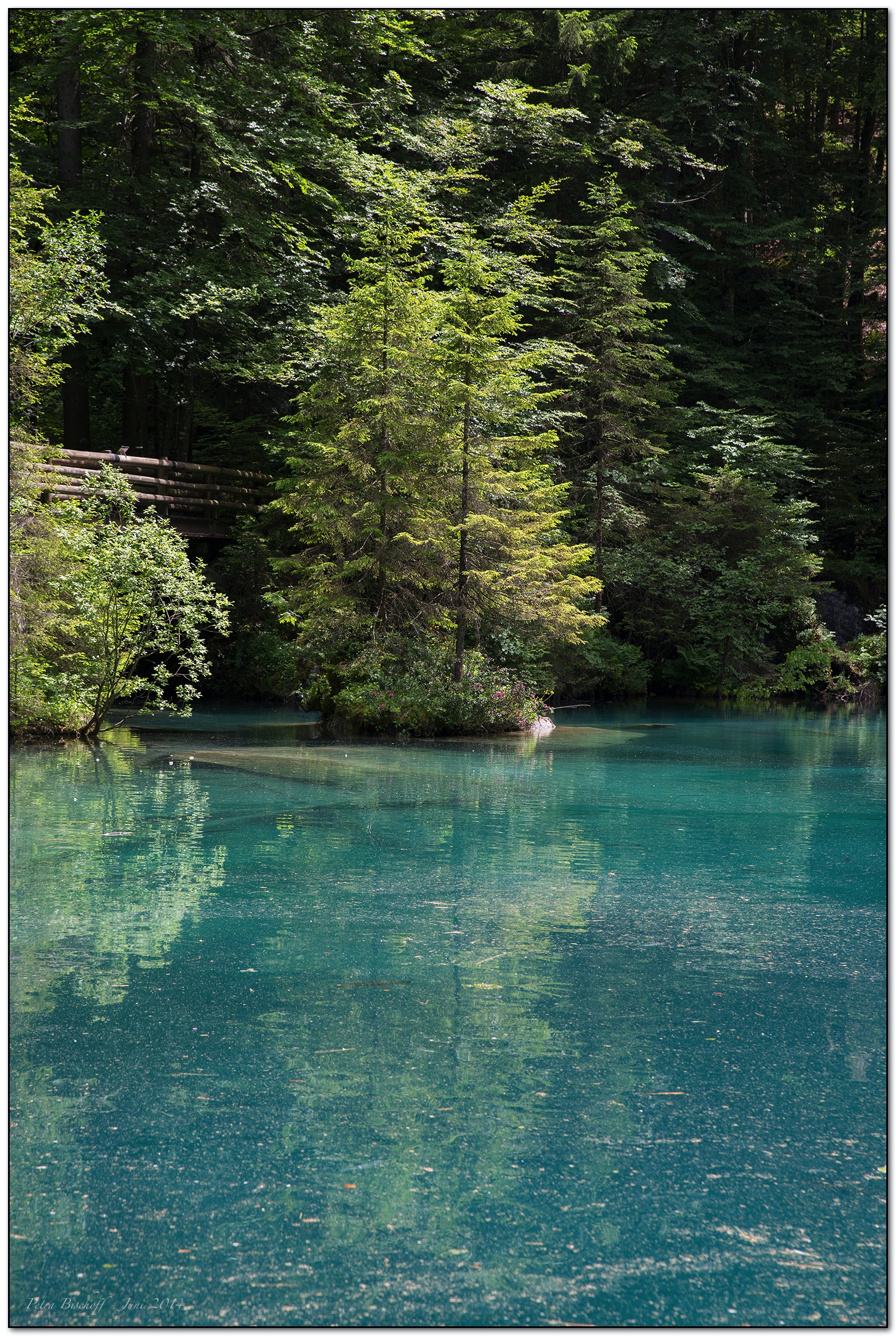 &copy; Petra Bischoff