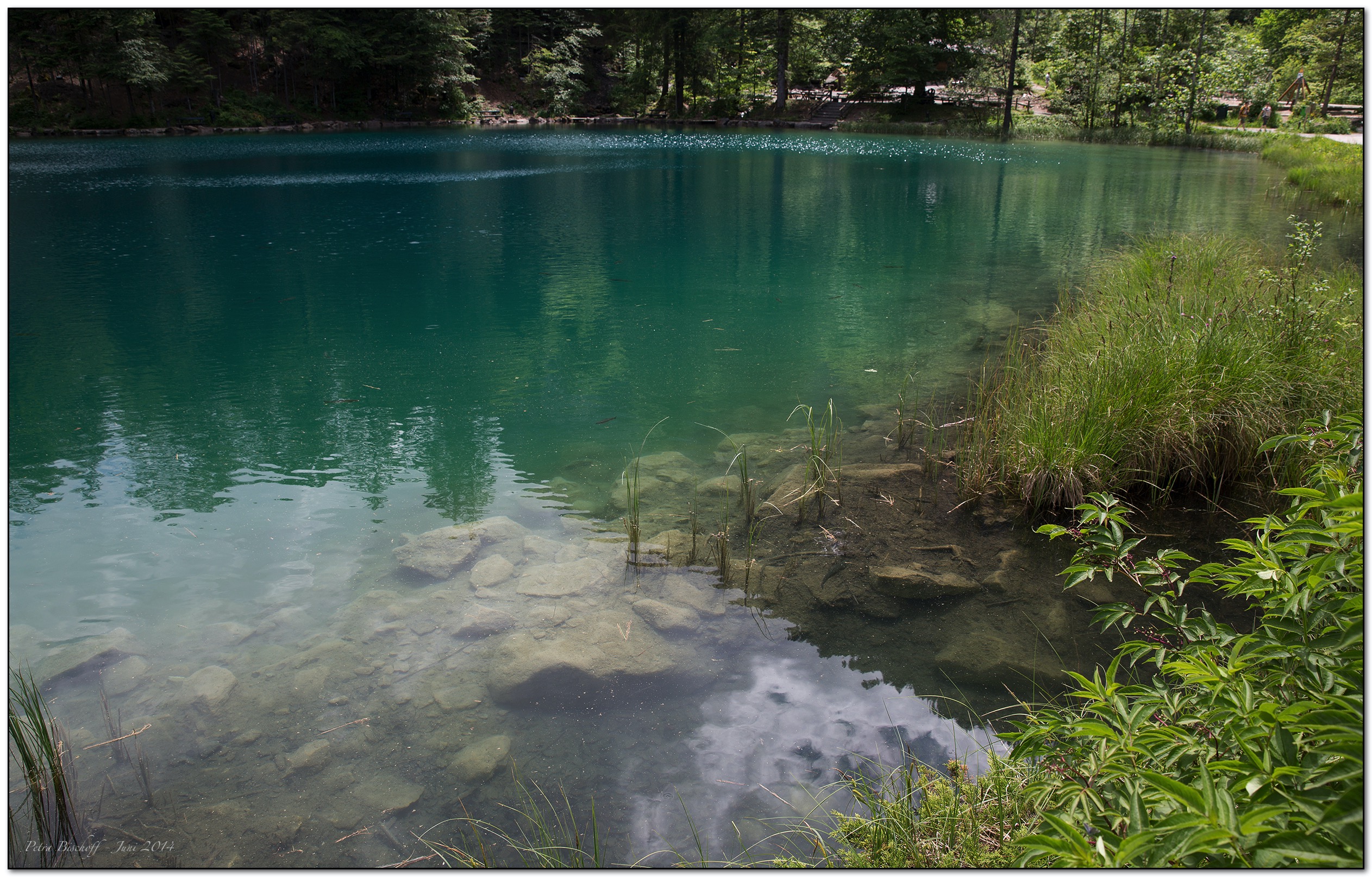 &copy; Petra Bischoff