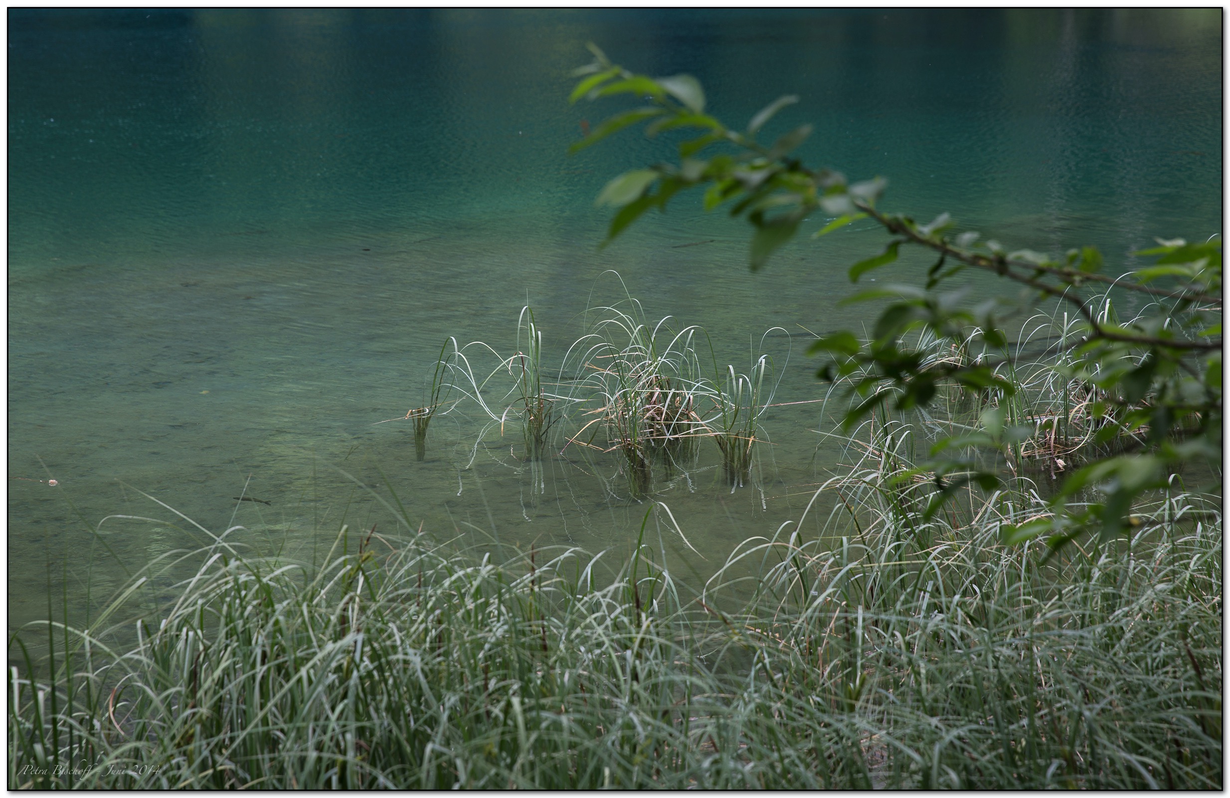 &copy; Petra Bischoff