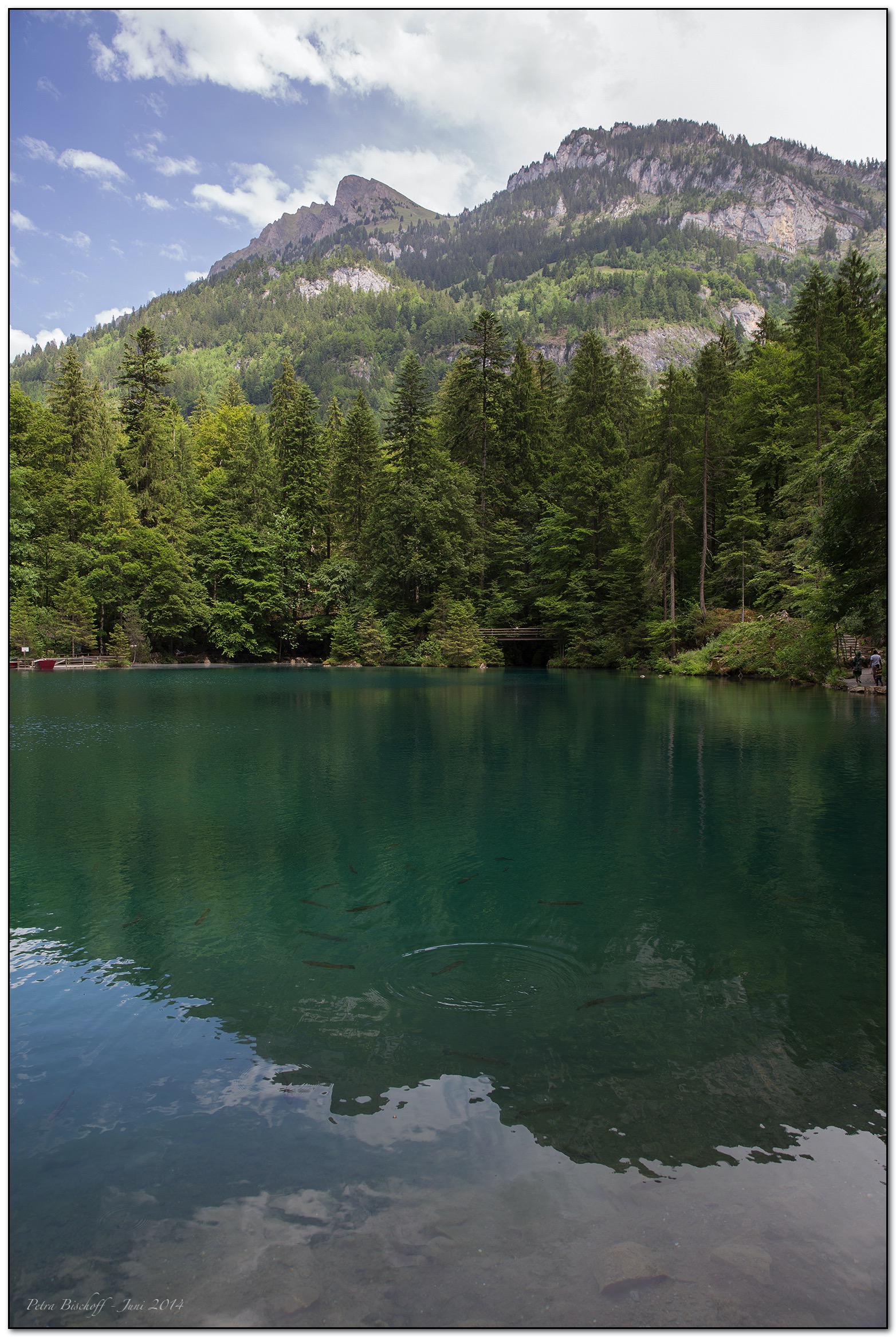 &copy; Petra Bischoff