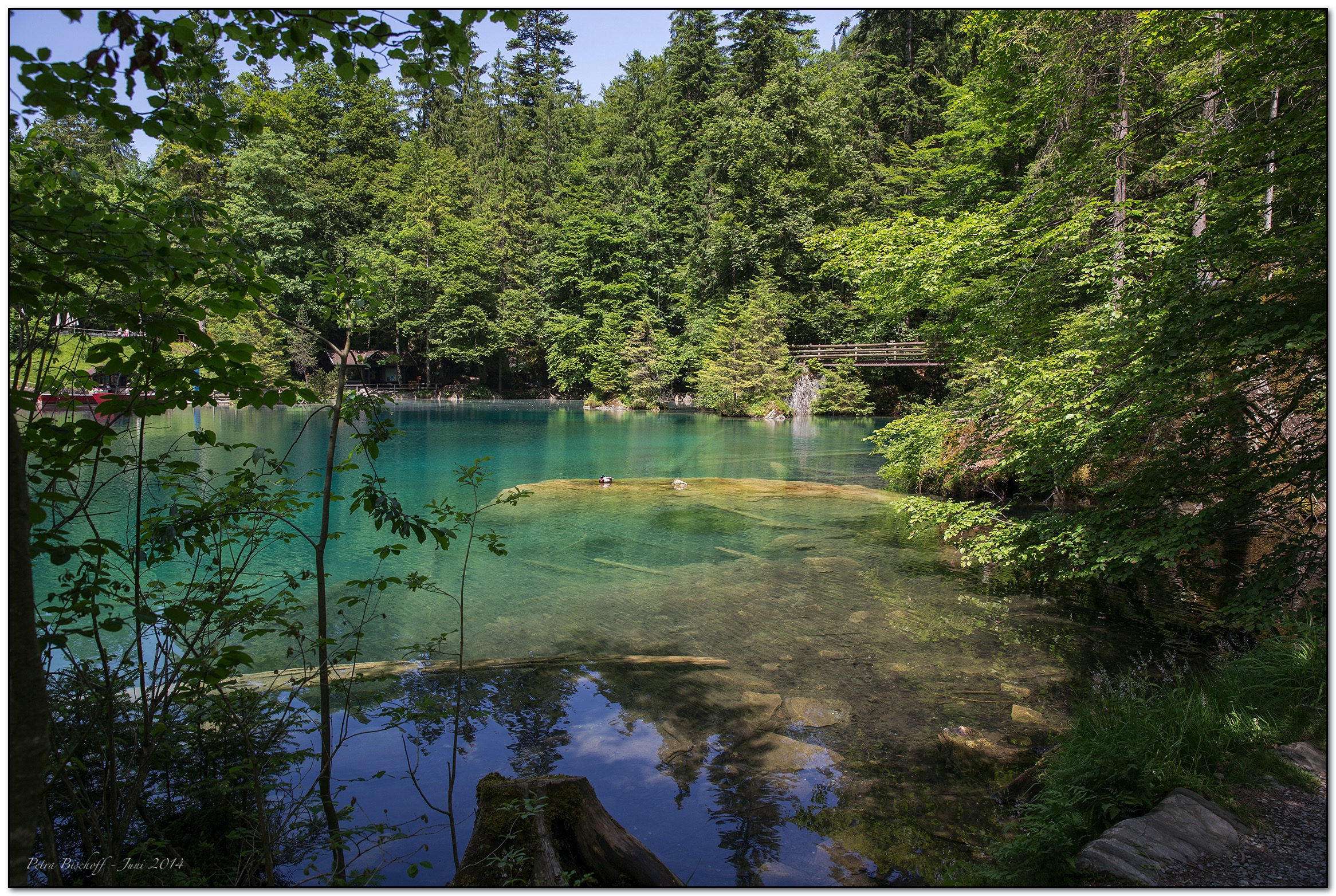 &copy; Petra Bischoff