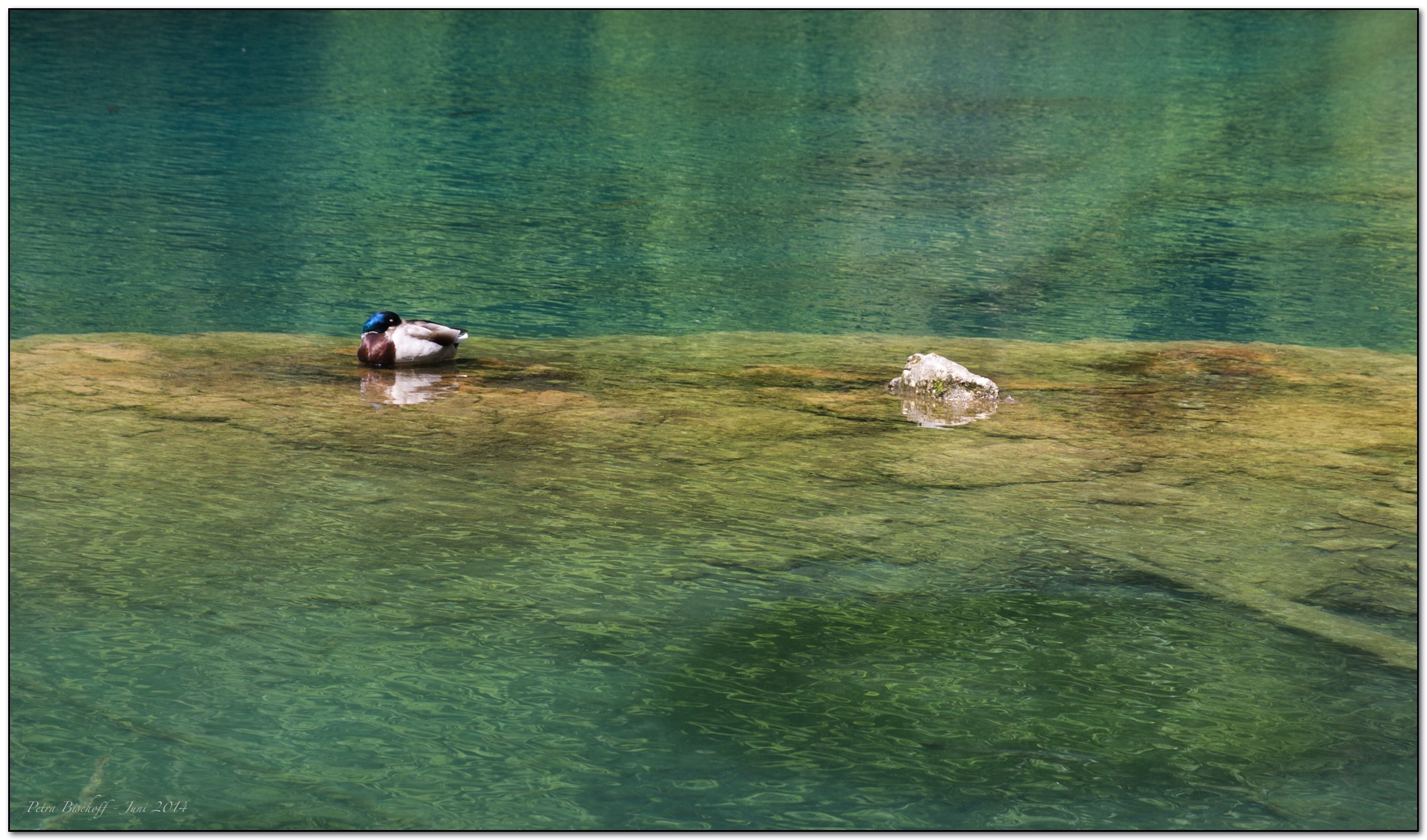 &copy; Petra Bischoff