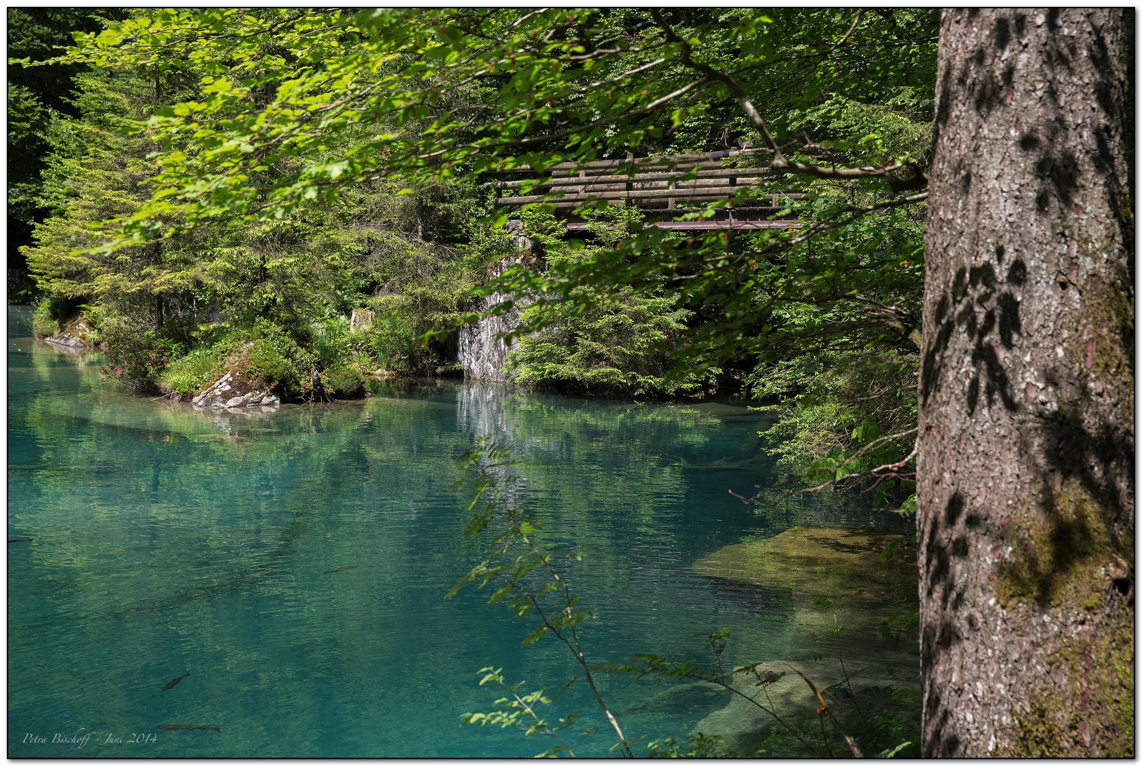 &copy; Petra Bischoff