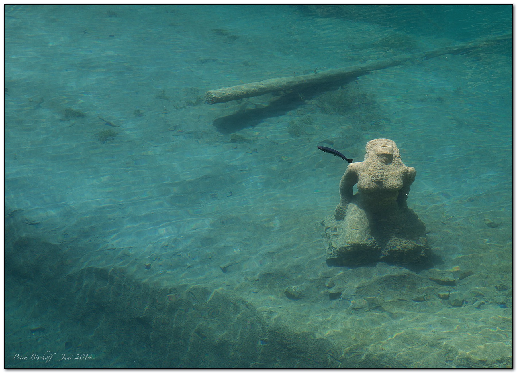 &copy; Petra Bischoff