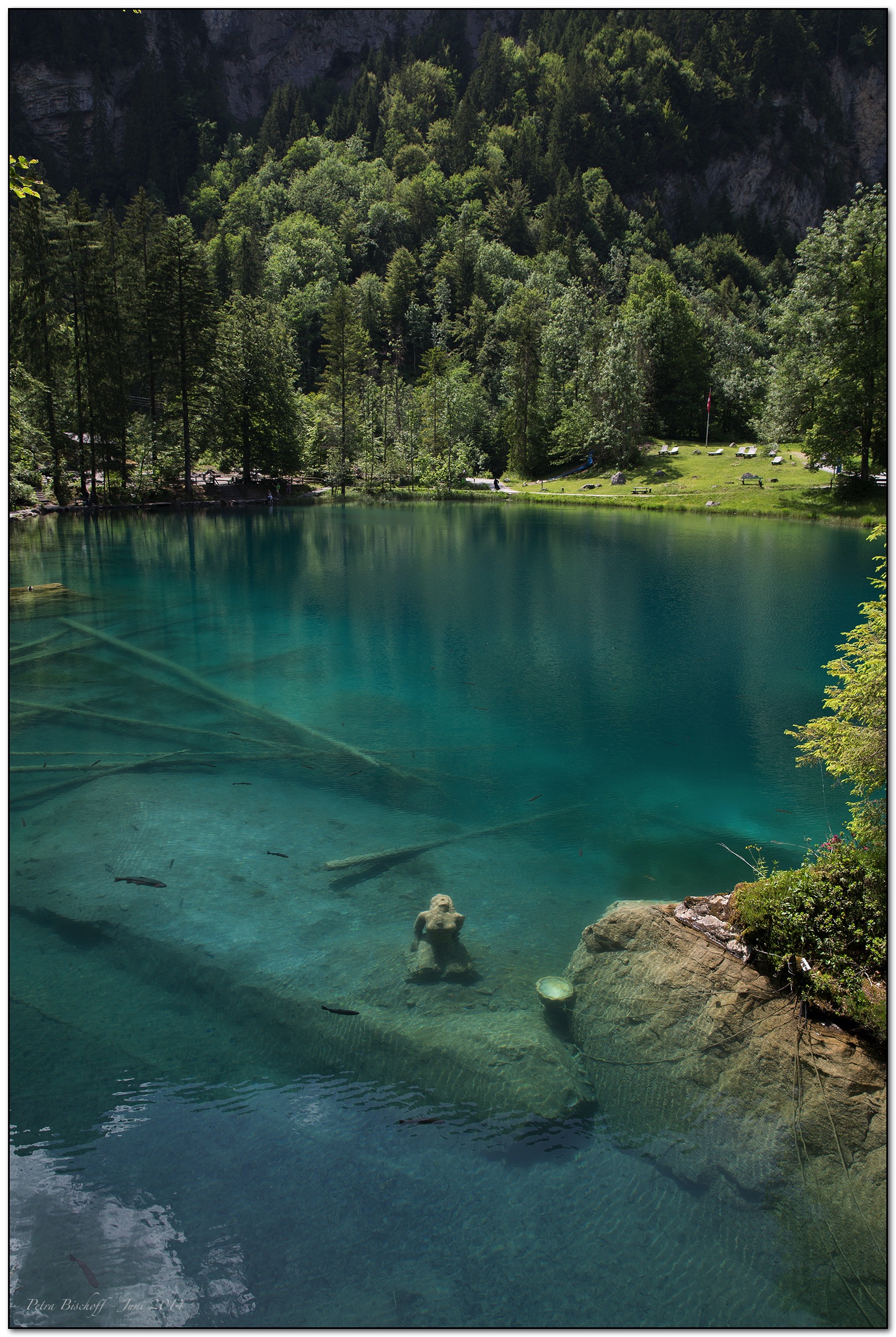 &copy; Petra Bischoff